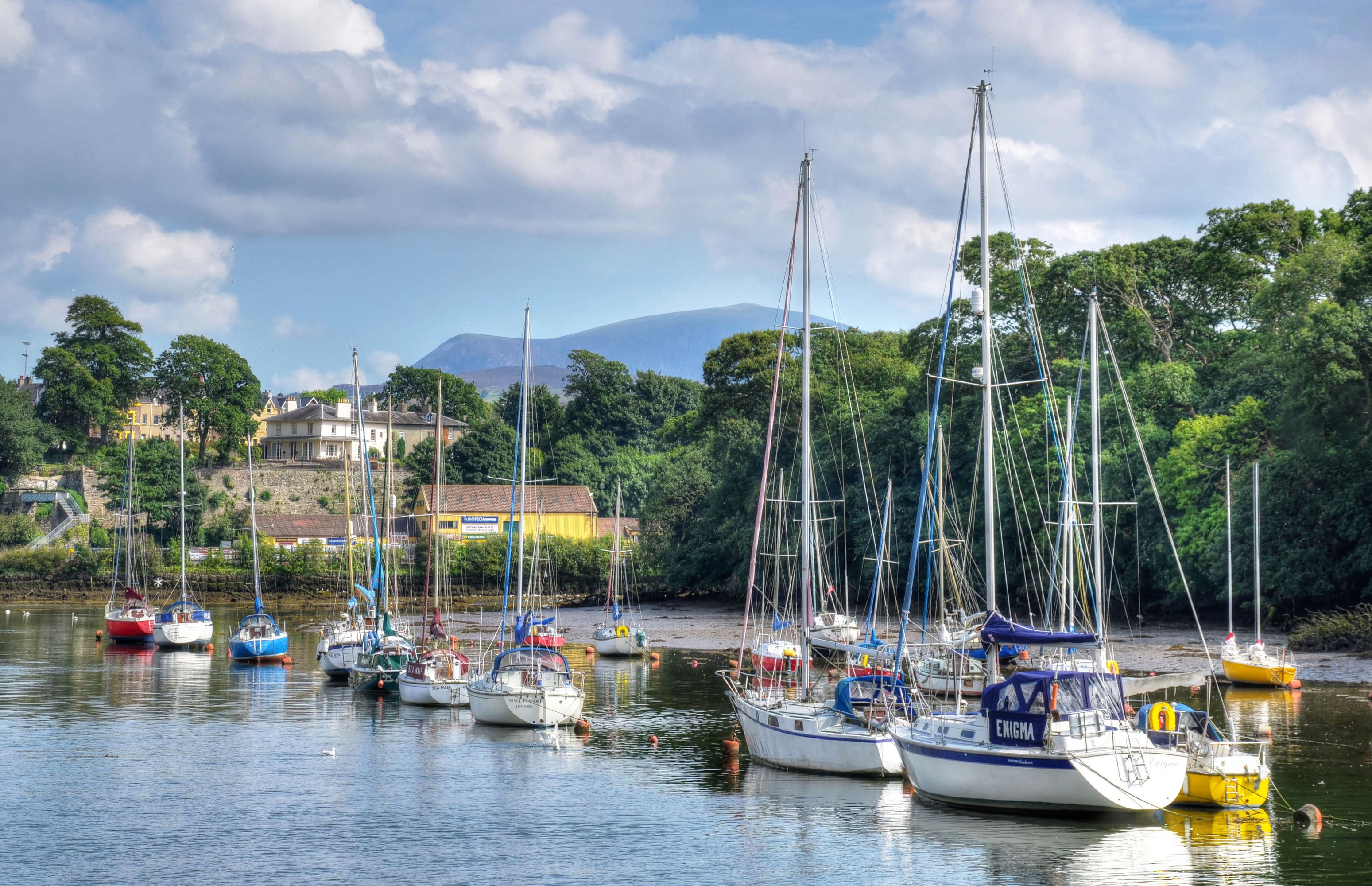 Sailboats docked in a harbor with houses and mountains in the background HD Wallpaper