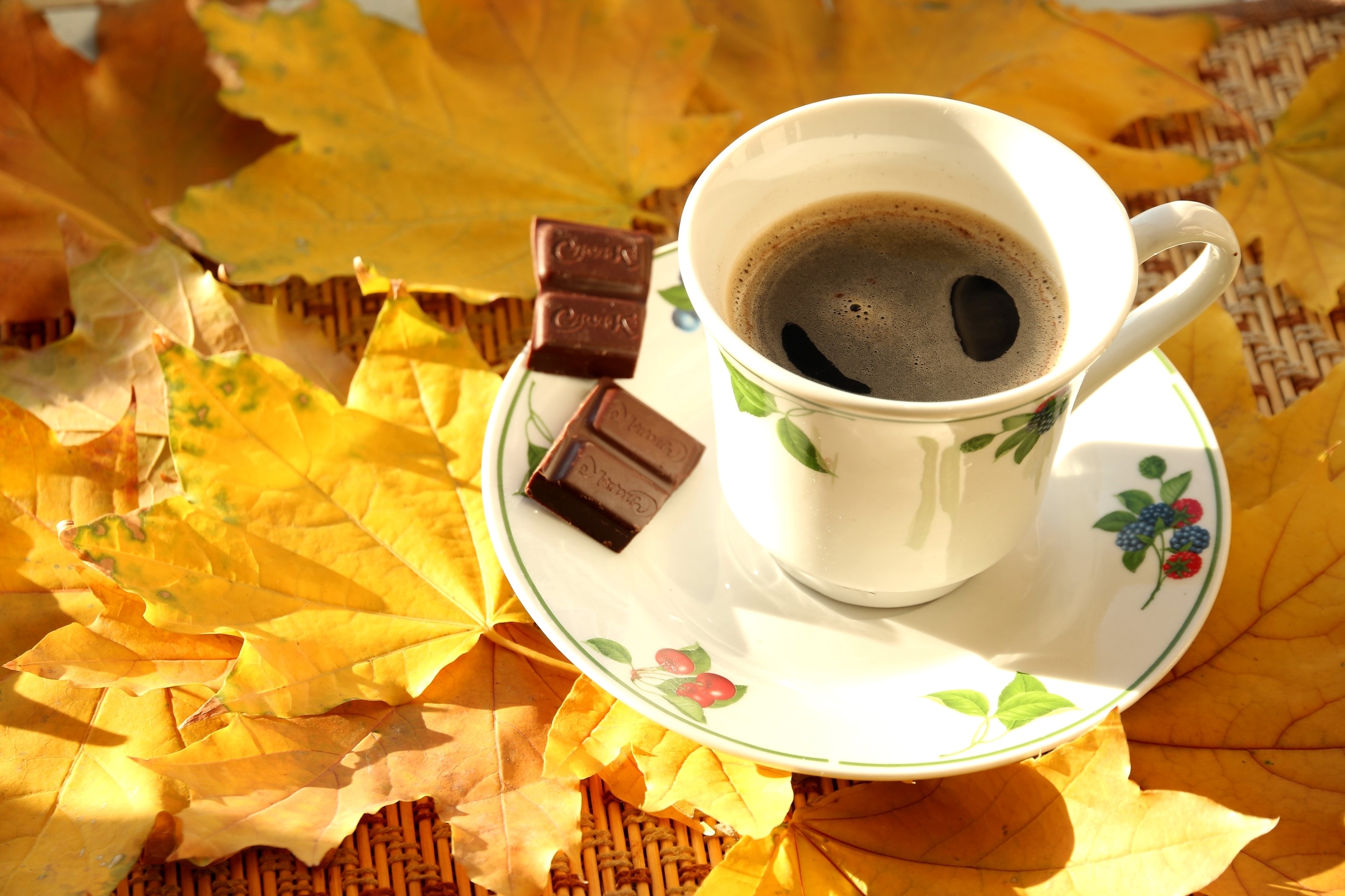 Coffee cup with chocolate on autumn leaves HD Wallpaper