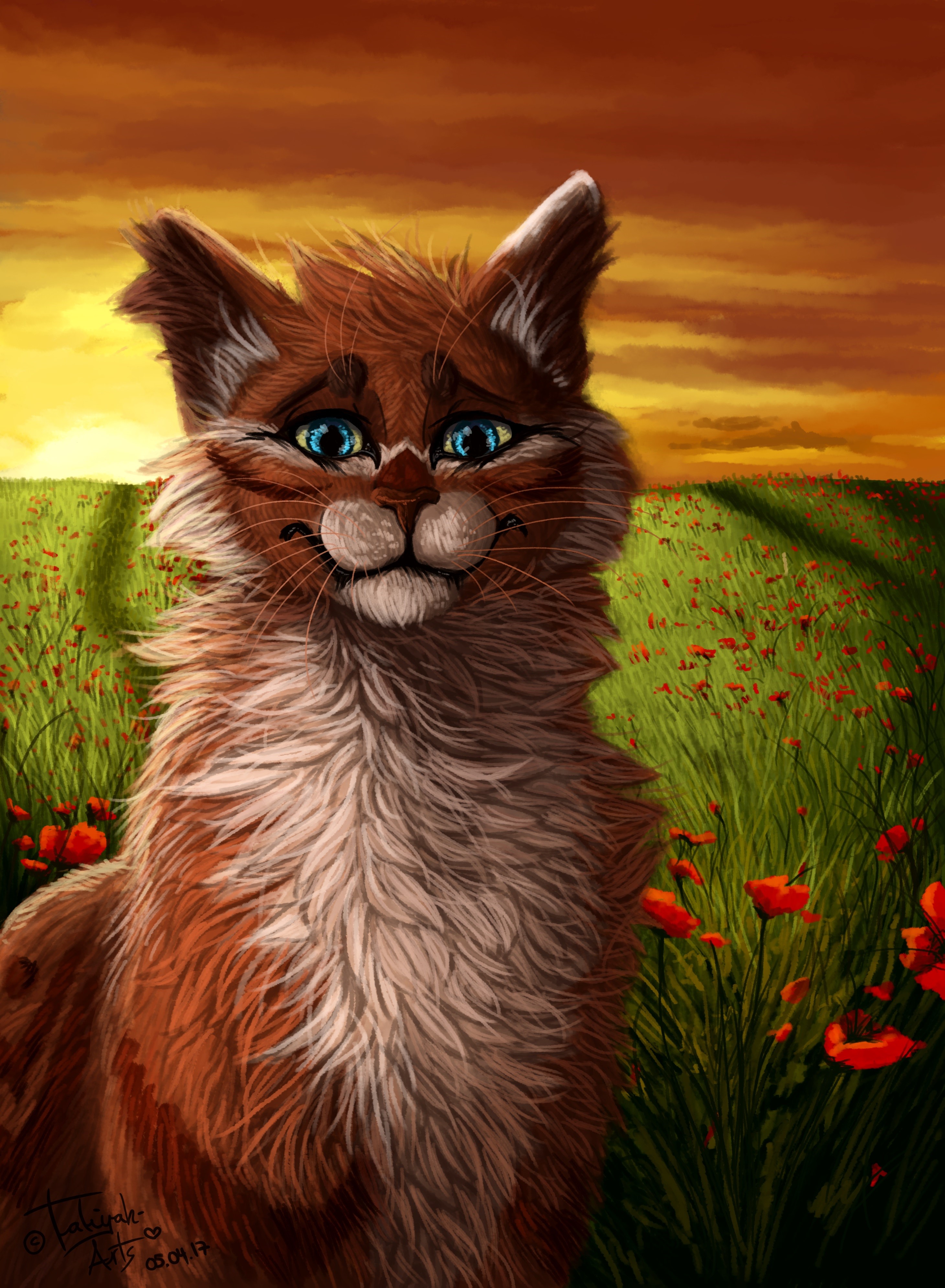Painting of a cat in a poppy field at sunset HD Phone Wallpaper