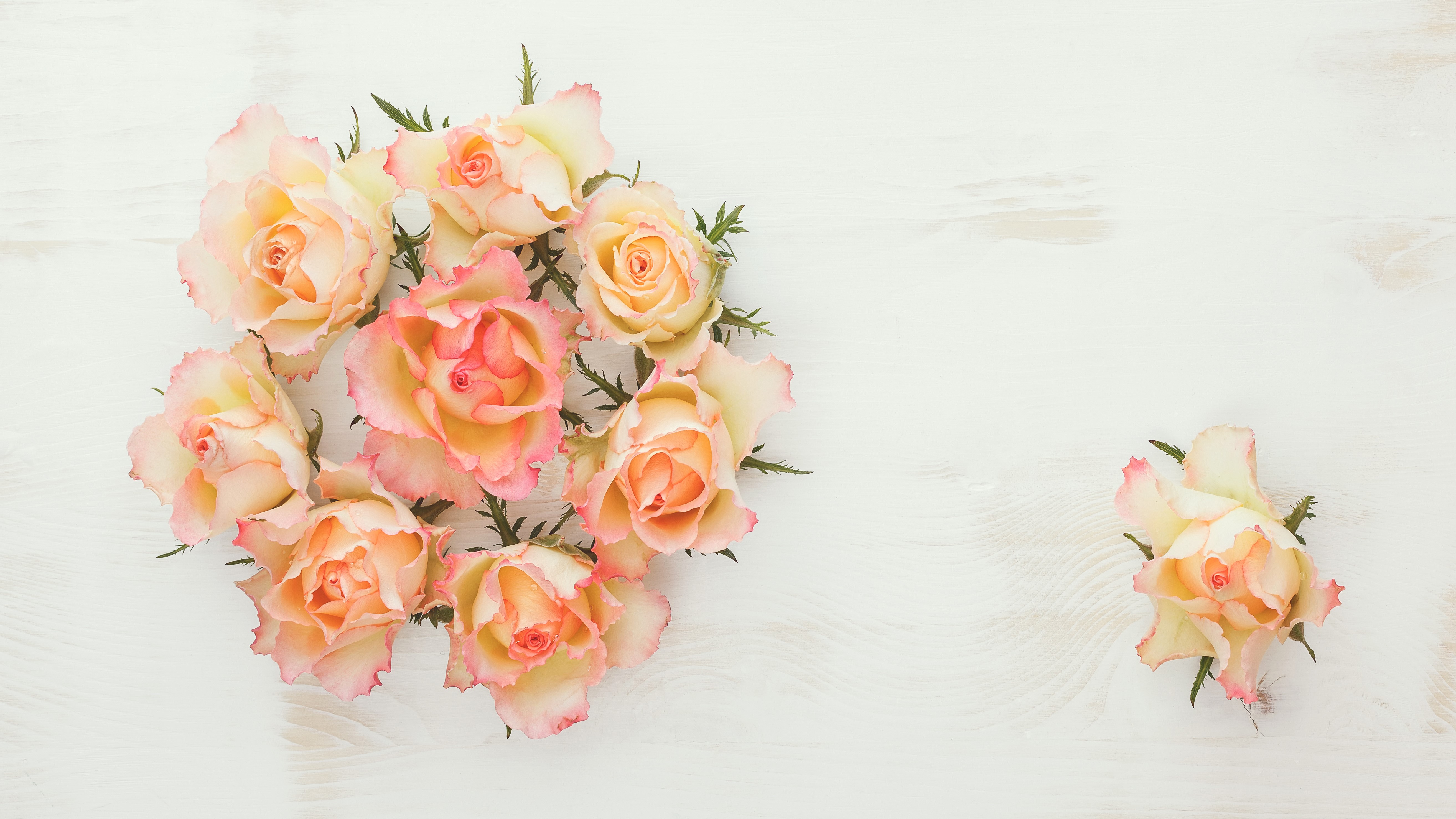 Peach and Pink Roses on White Wood HD Wallpaper