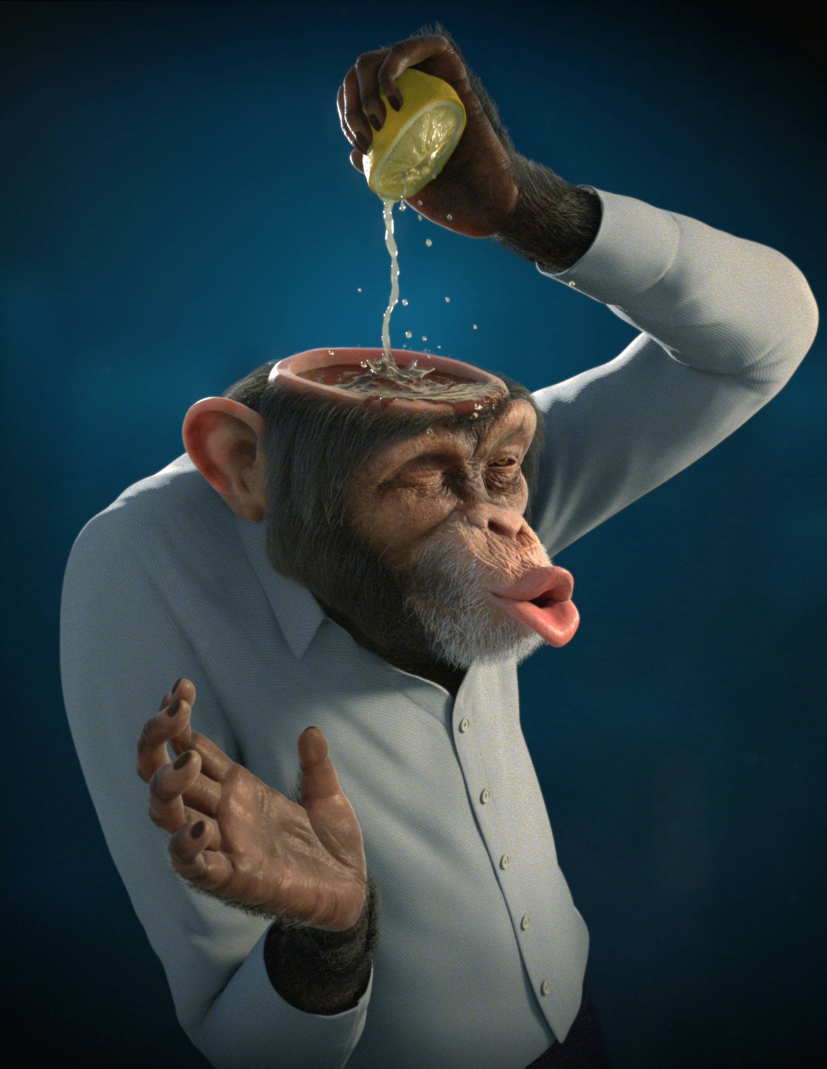 Chimpanzee pouring lemon juice into its head HD Phone Wallpaper