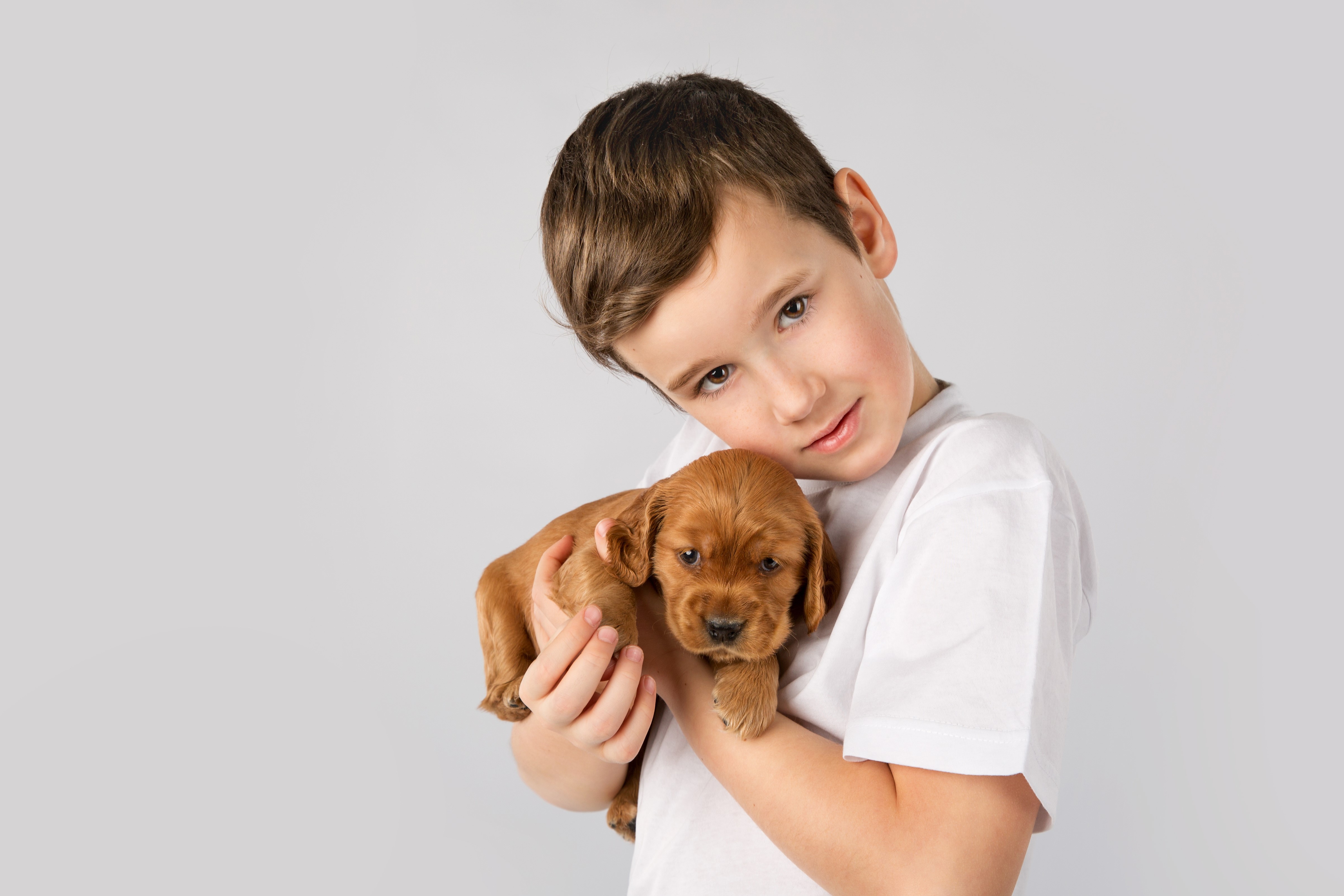 Boy holding a puppy HD Wallpaper
