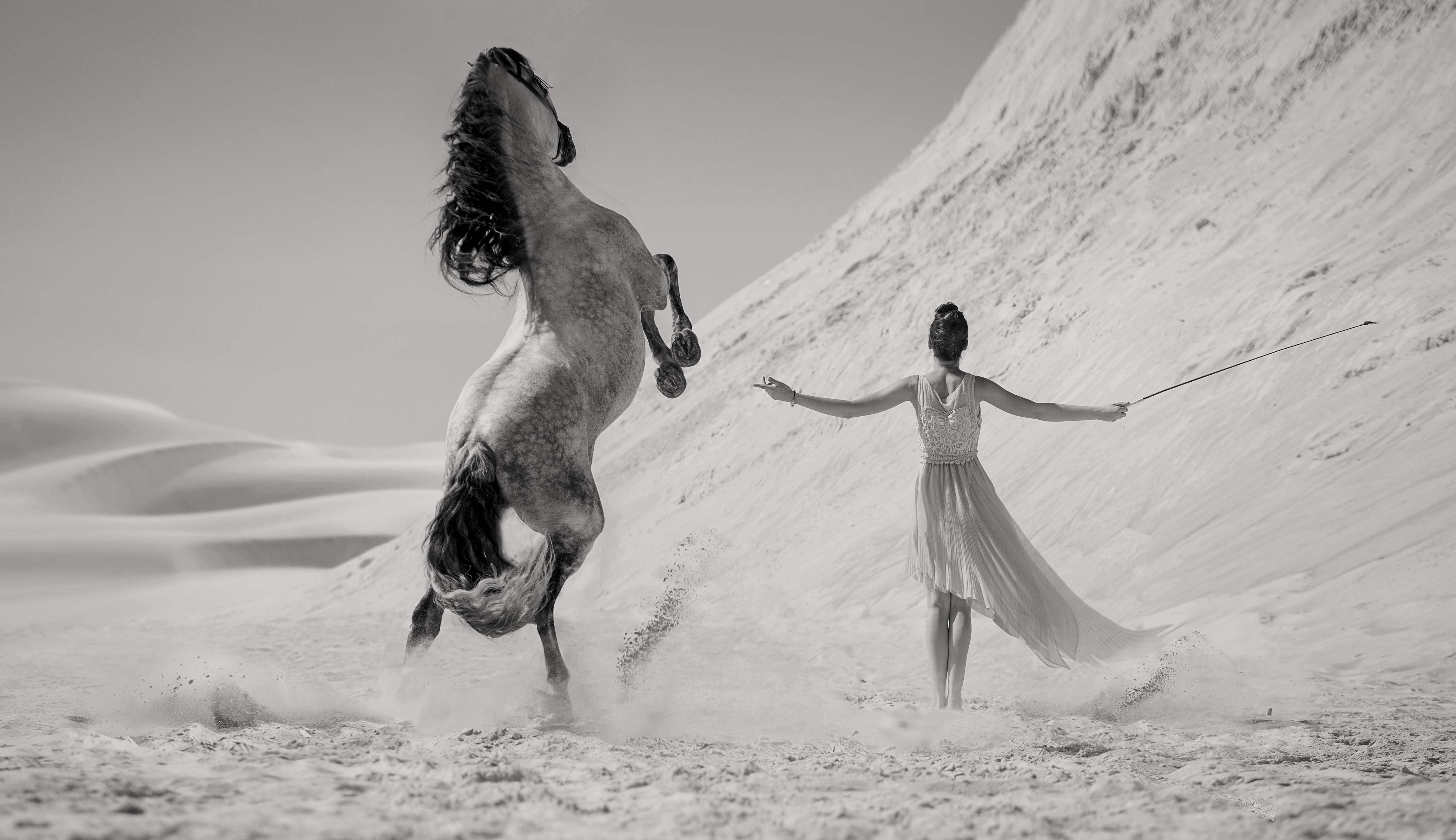 Black and white image of a horse rearing up in a desert HD Wallpaper