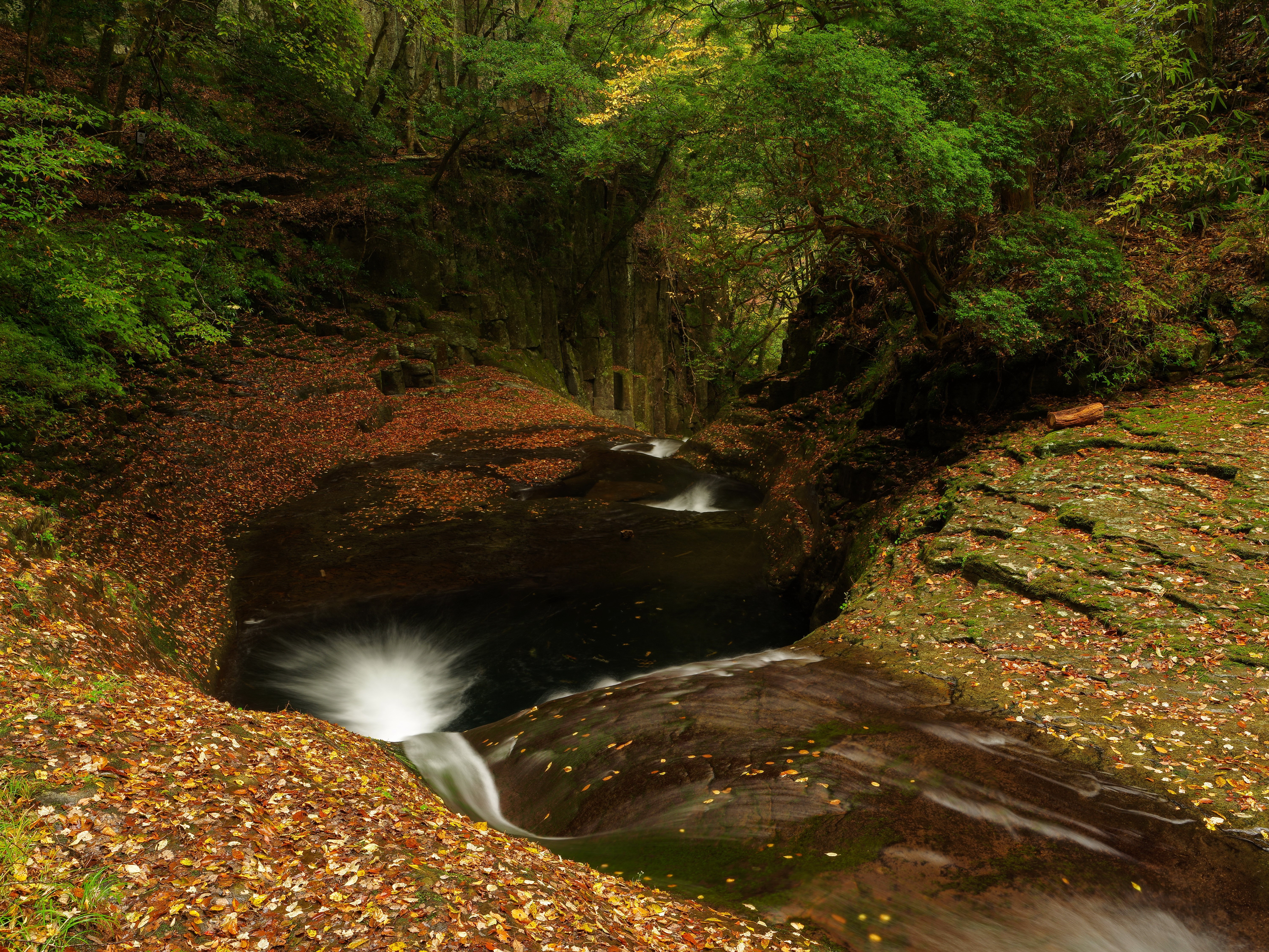 Autumn Waterfalls in a Forest with Foliage HD Wallpaper