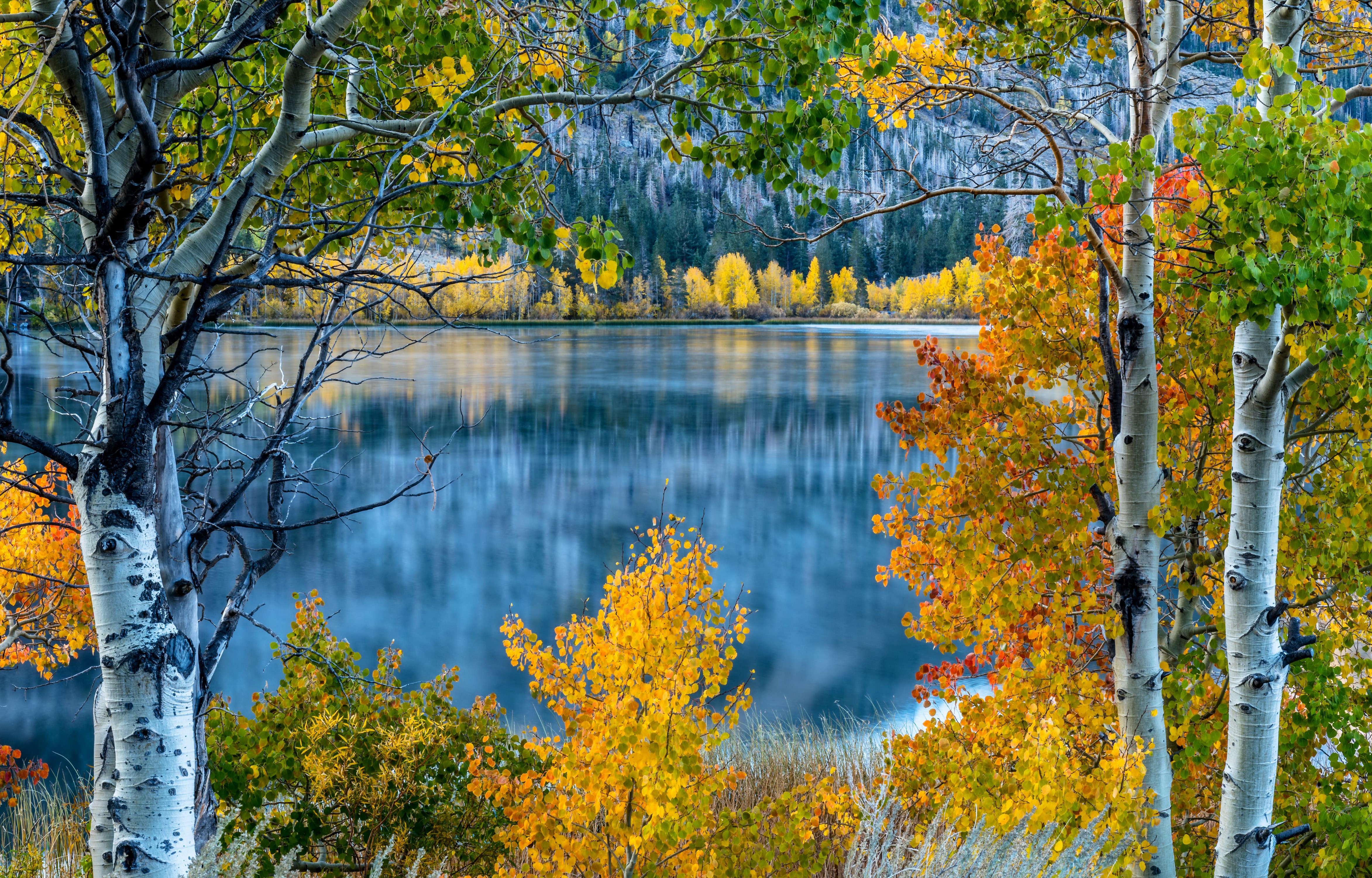 Autumn at June Lake, California, USA HD Wallpaper