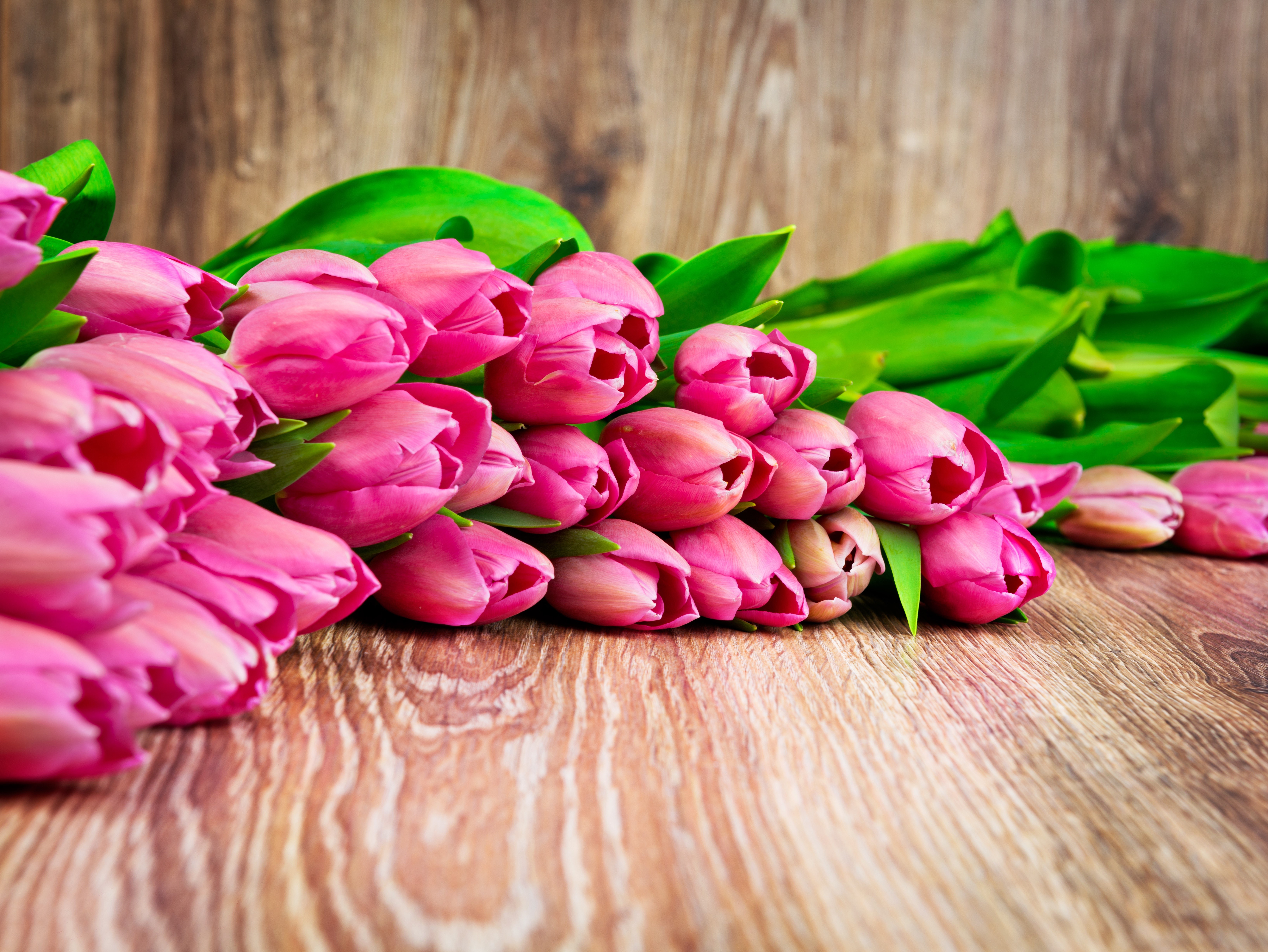 Pink Tulips on Wooden Background HD Wallpaper