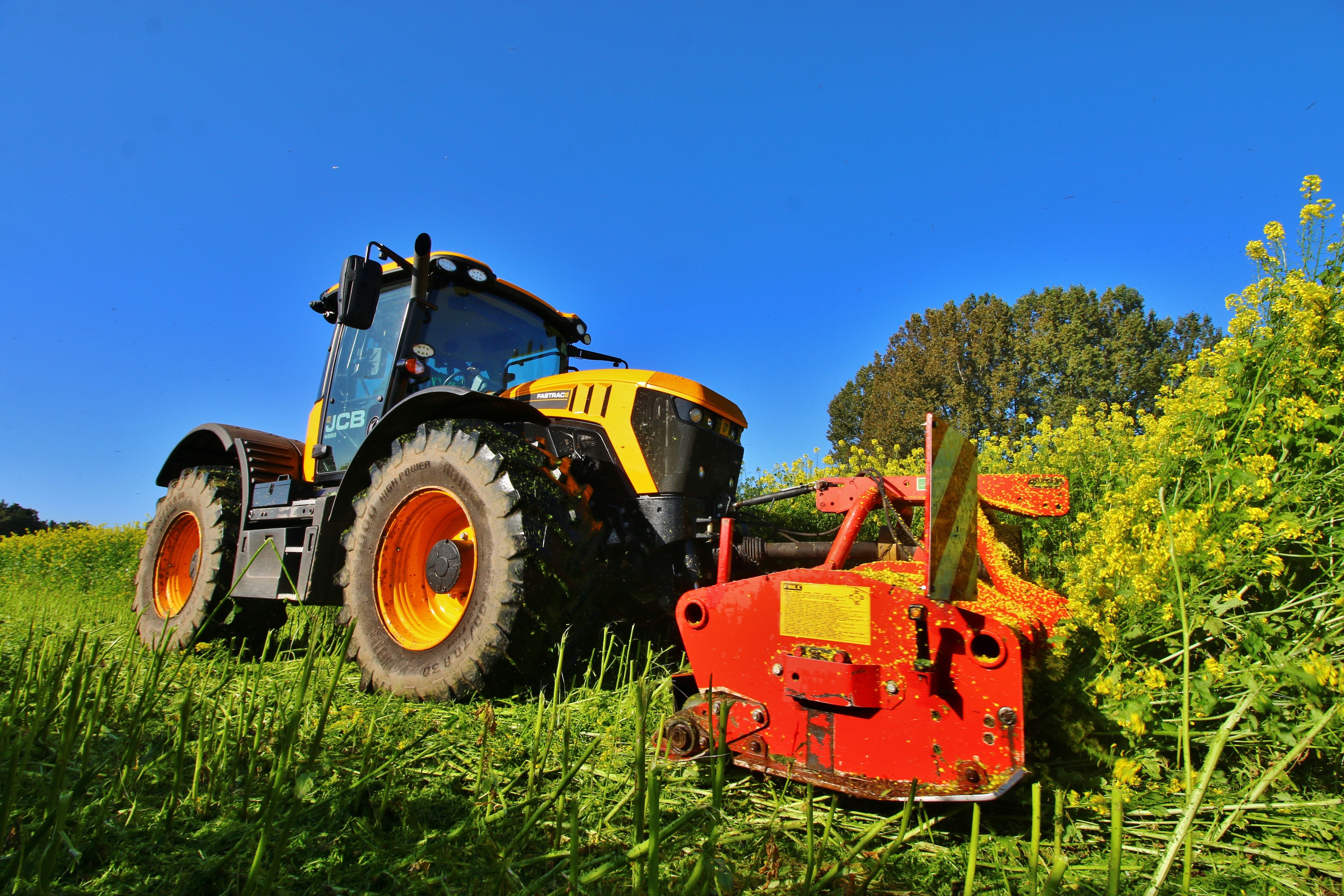JCB Fastrac 4220 tractor harvesting crops HD Wallpaper
