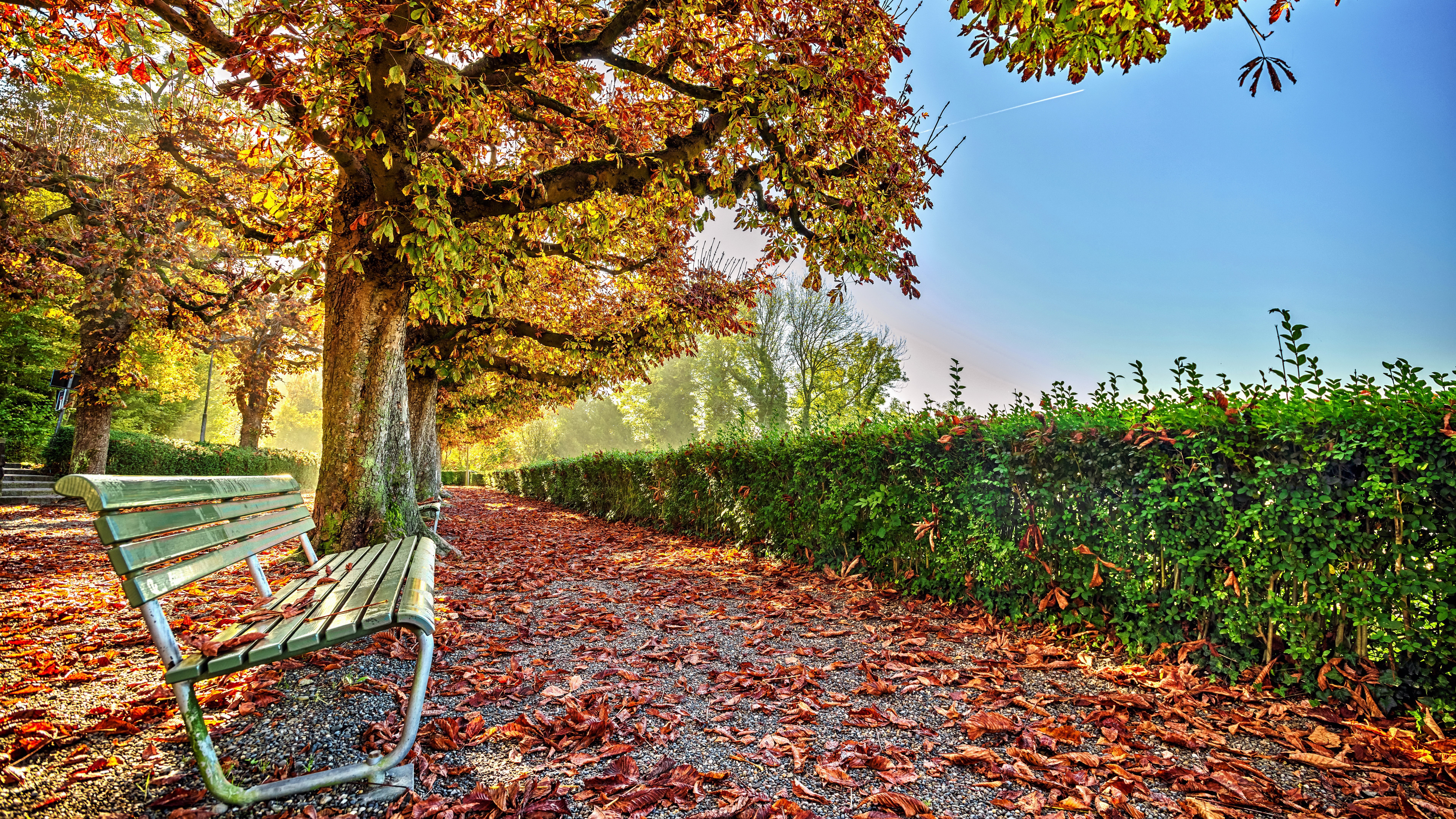 Autumn park with bench and fallen leaves HD Wallpaper