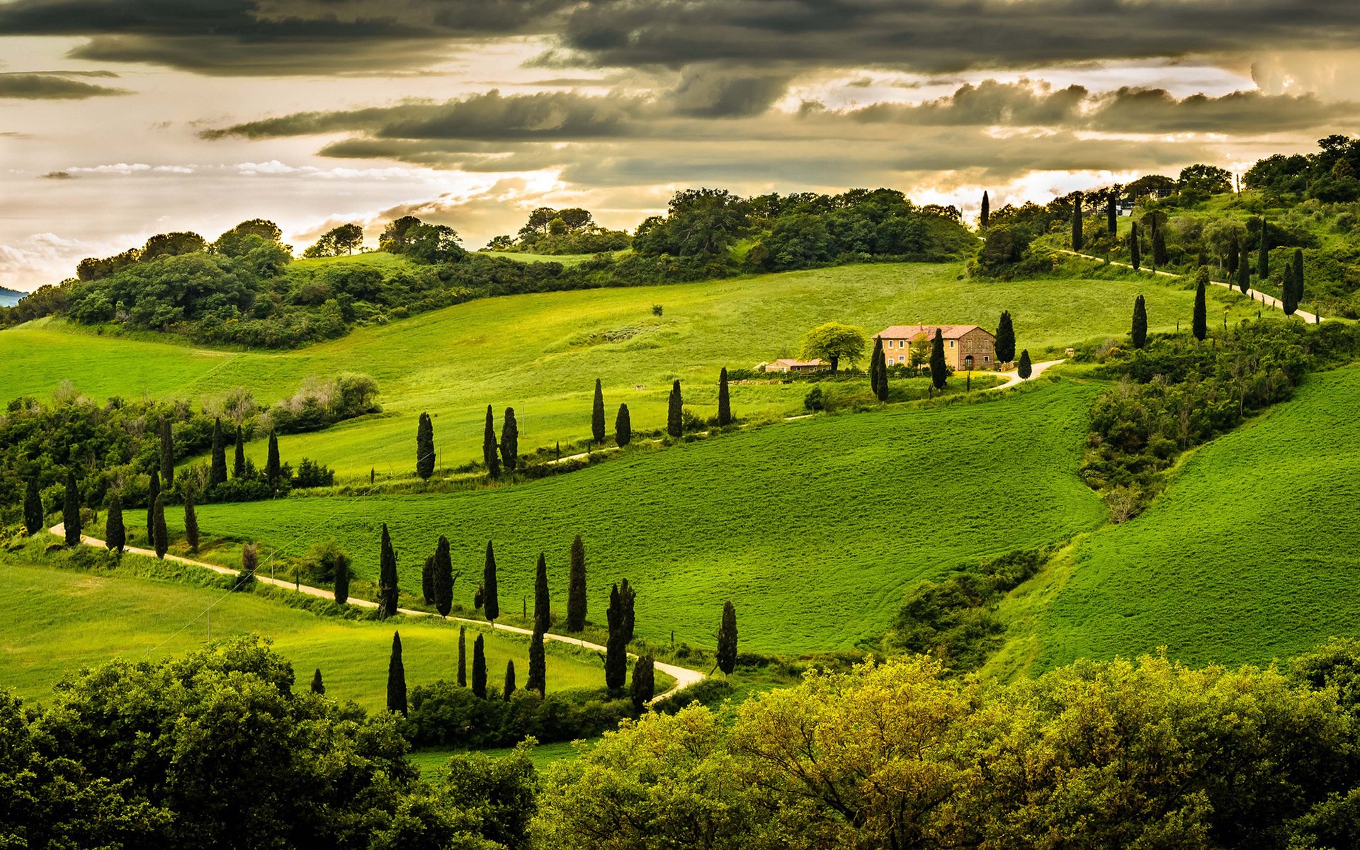Tuscan landscape with cypress trees and a farmhouse HD Wallpaper