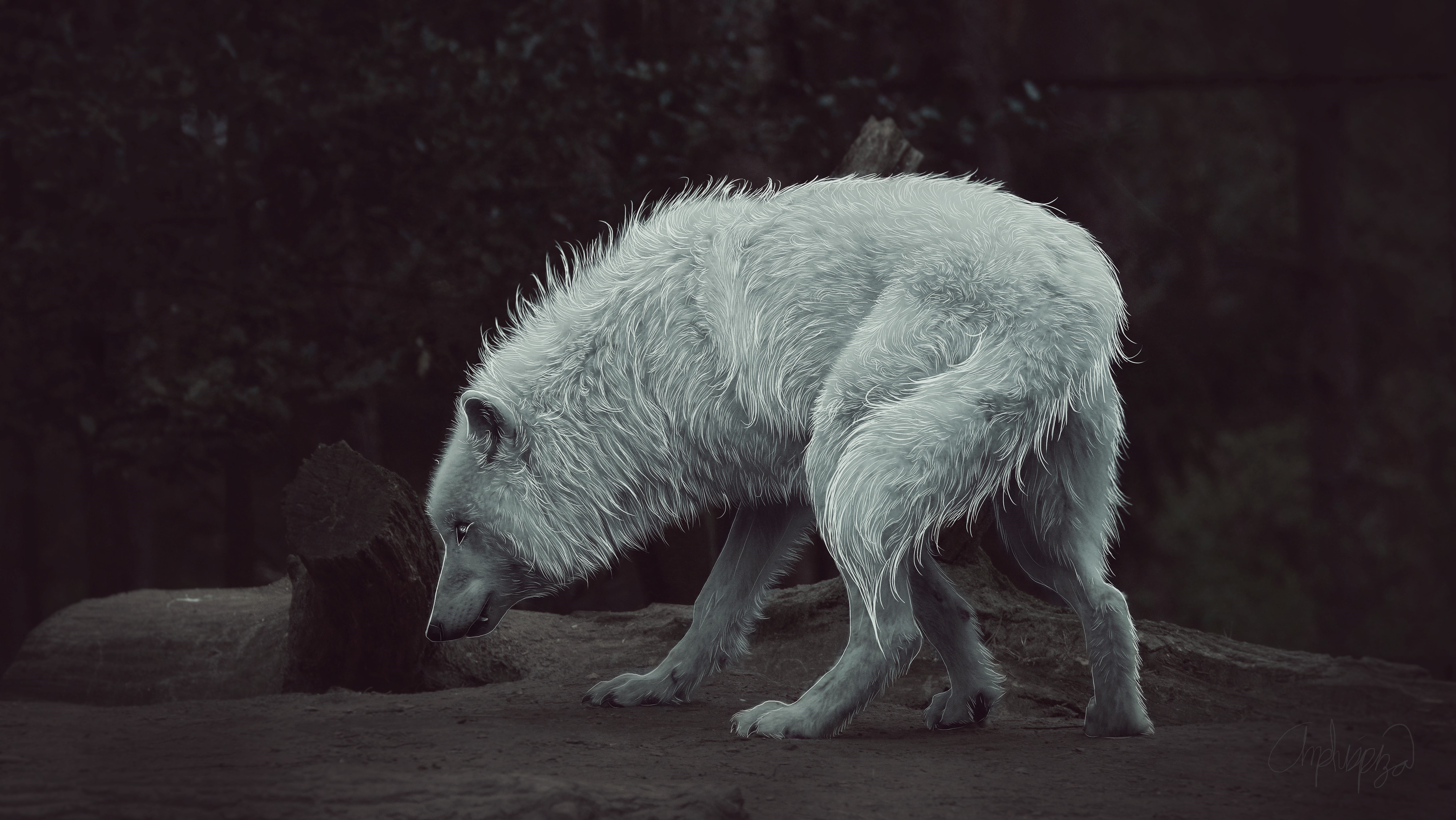 4K Painting Art of a White Wolf HD Wallpaper