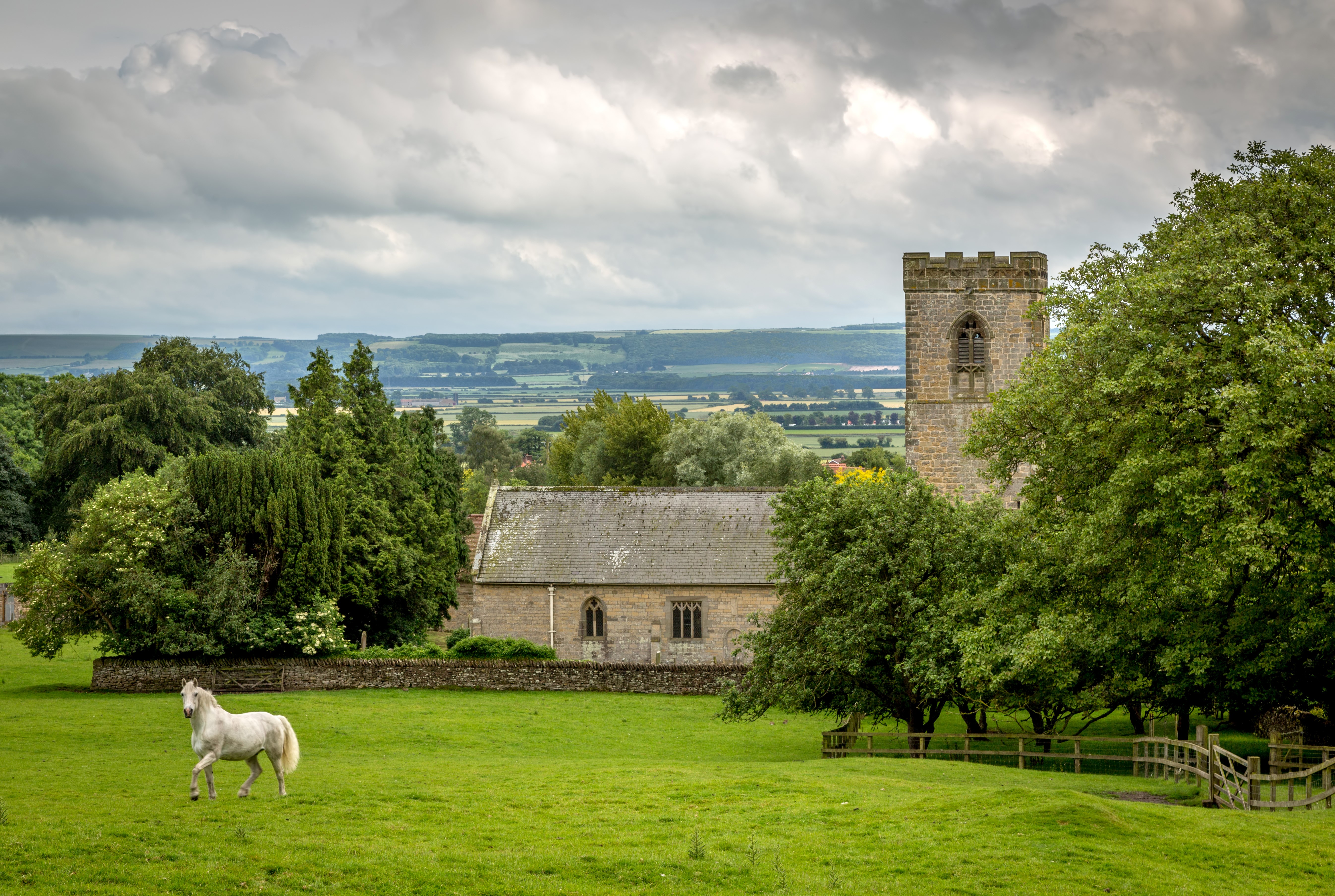 White horse in a field near Allerston, United Kingdom HD Wallpaper