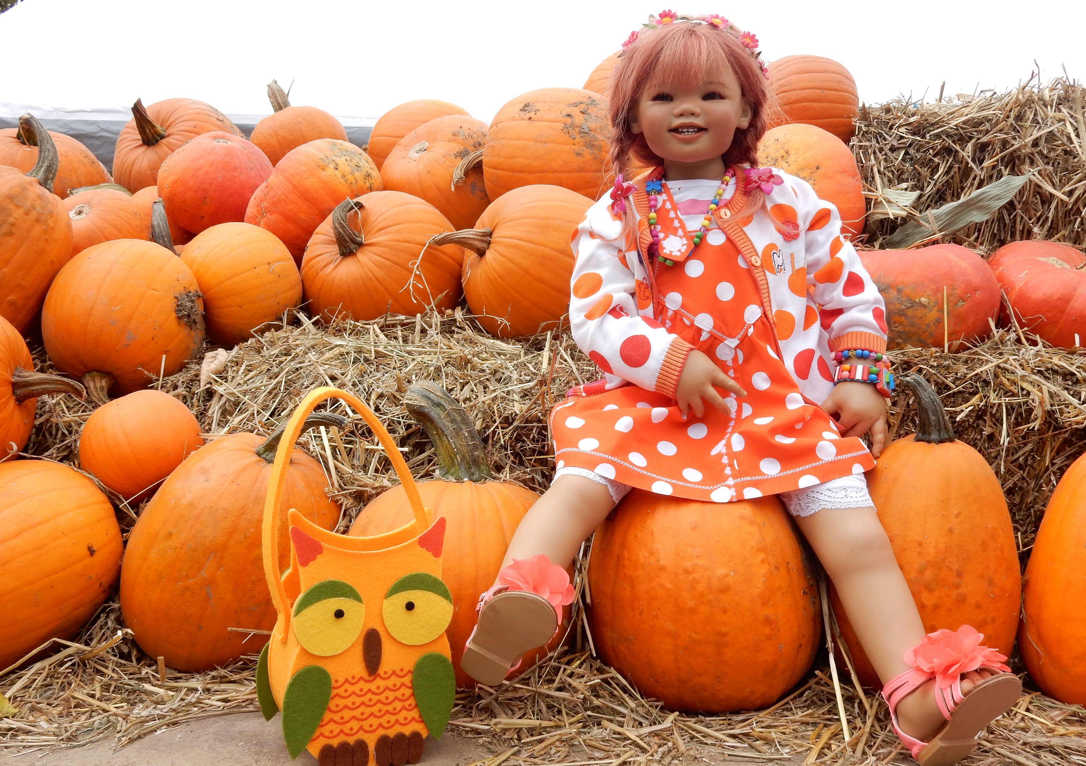 Doll in Pumpkin Patch with Owl Handbag HD Wallpaper