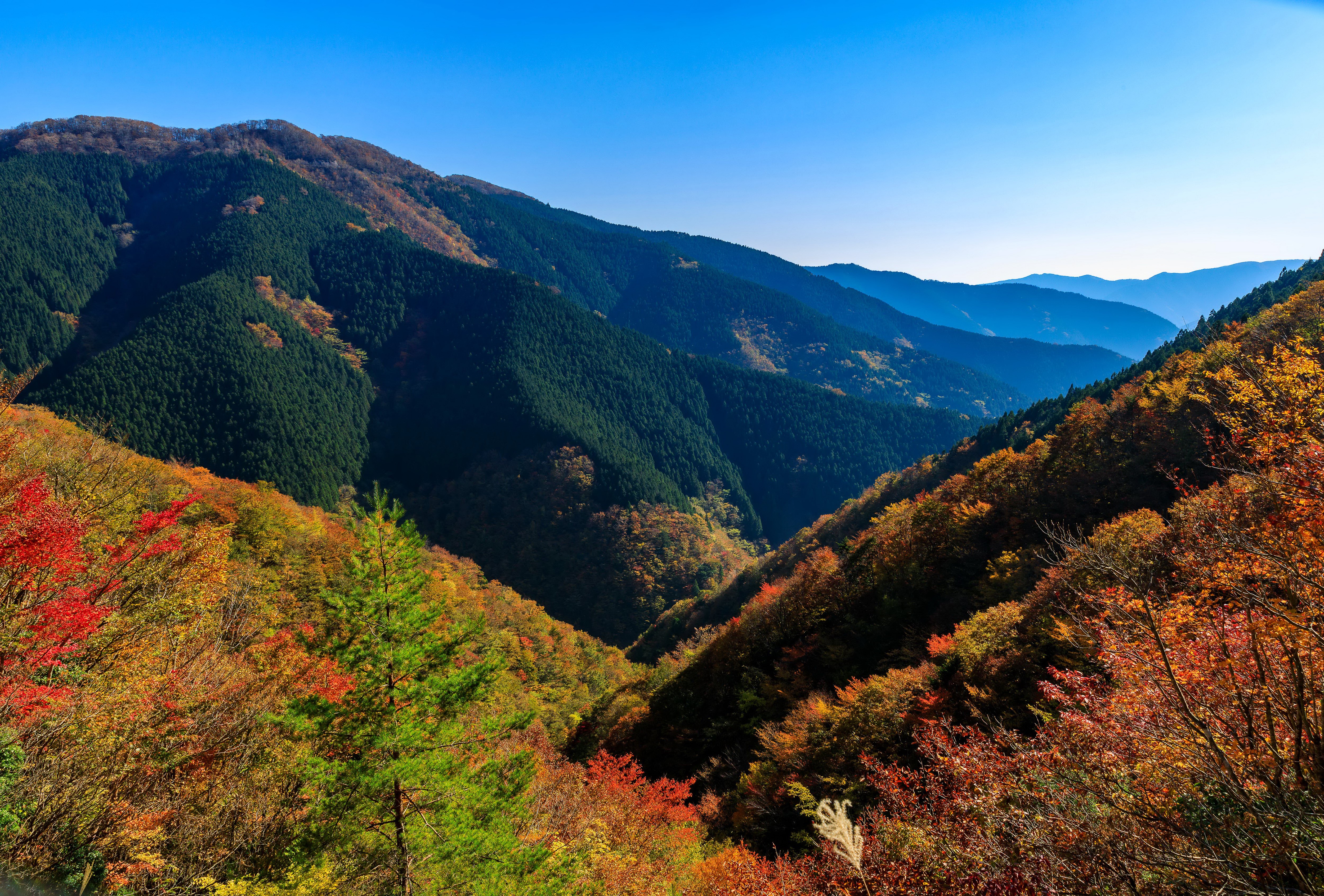 Mountains in Nara Park, Japan during Autumn HD Wallpaper