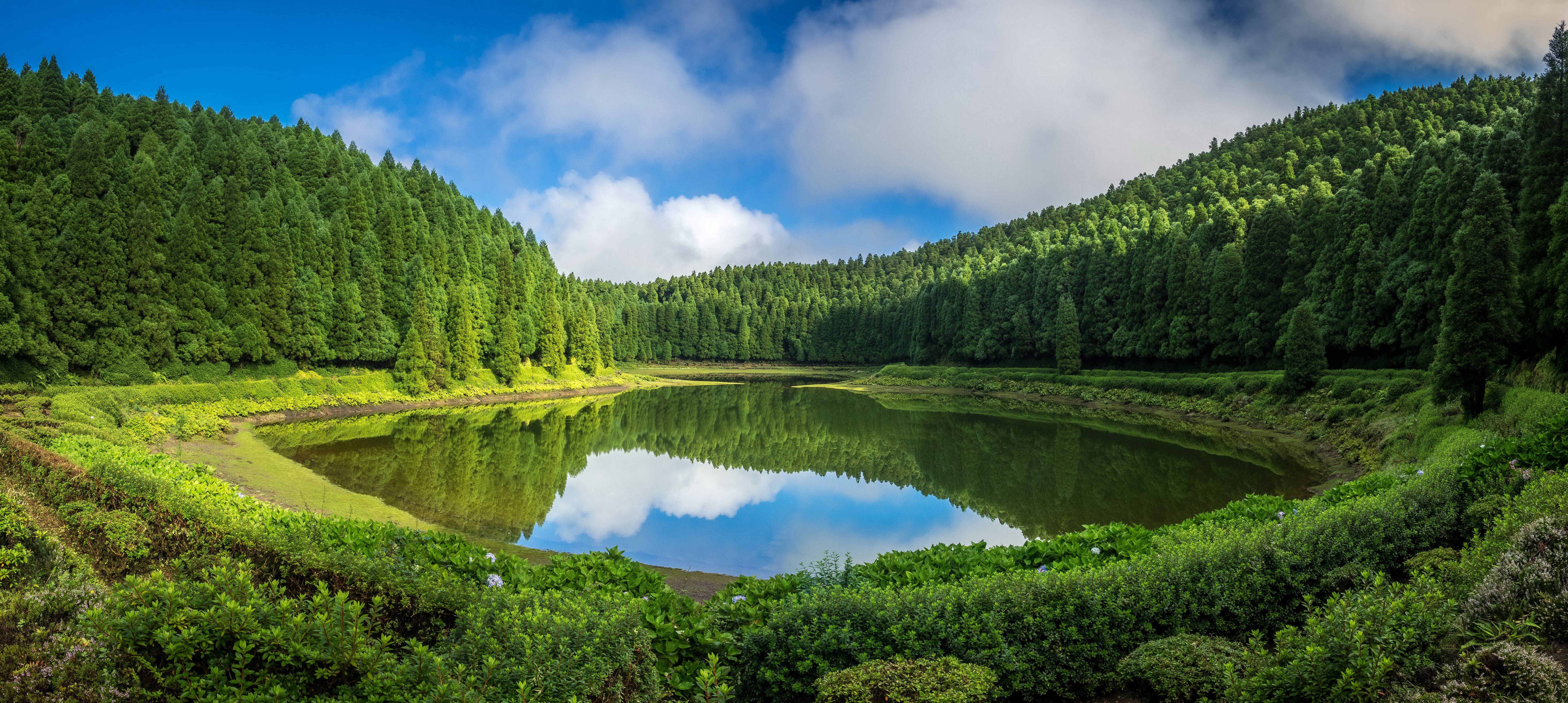 Lake surrounded by dense green forest in Sao Miguel, Azores, Portugal HD Wallpaper