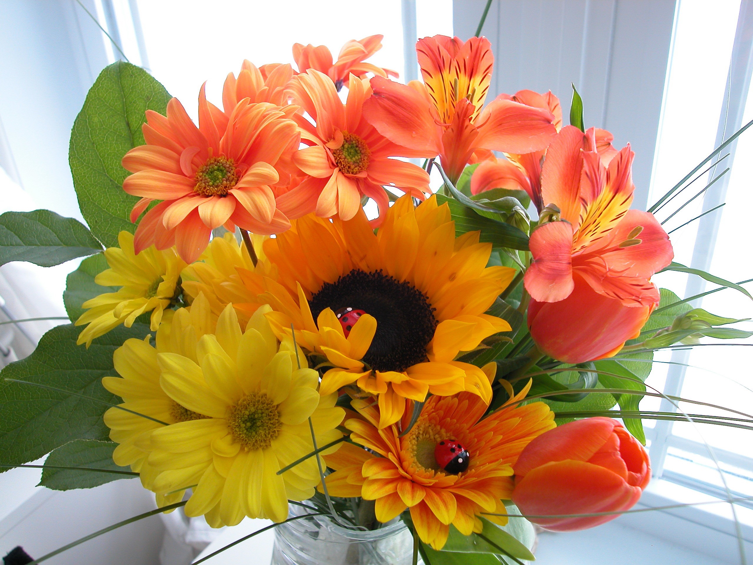 Vibrant Mixed Bouquet with Sunflowers and Tulips HD Wallpaper