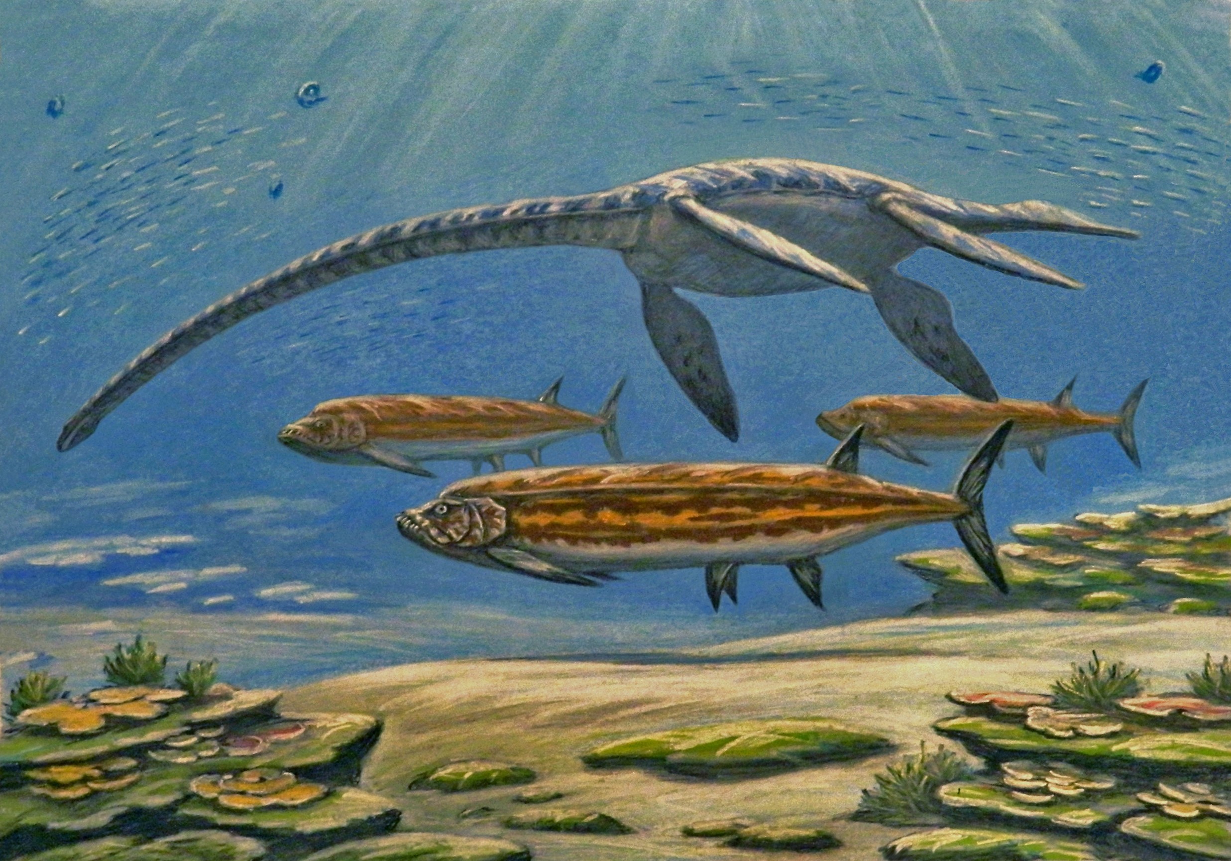 Styxosaurus and Xiphactinus audax underwater painting HD Wallpaper