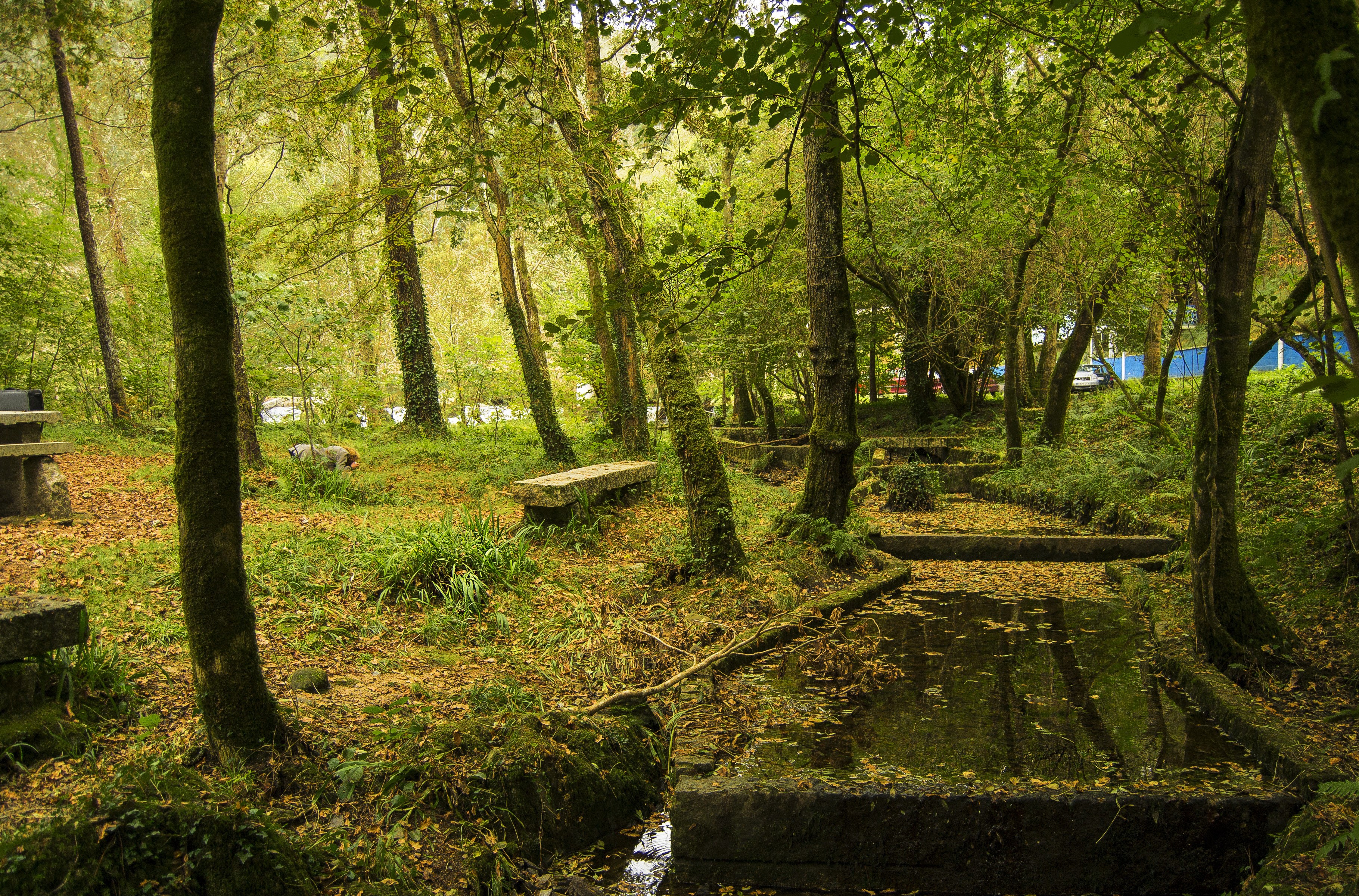 Stone benches and water channels in a forest park in El Burgo, Spain HD Wallpaper