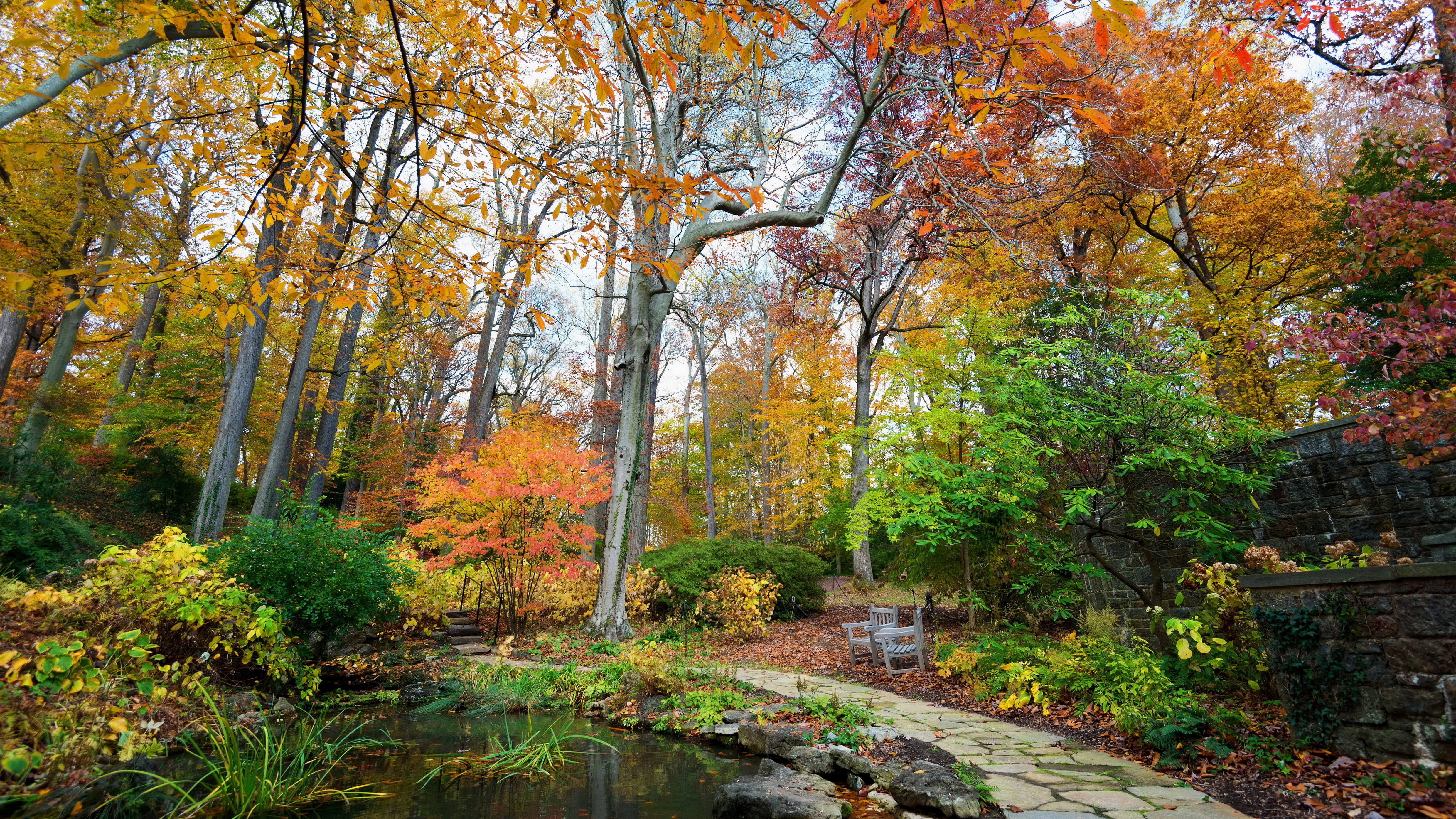 Autumn park with pond and trees HD Wallpaper