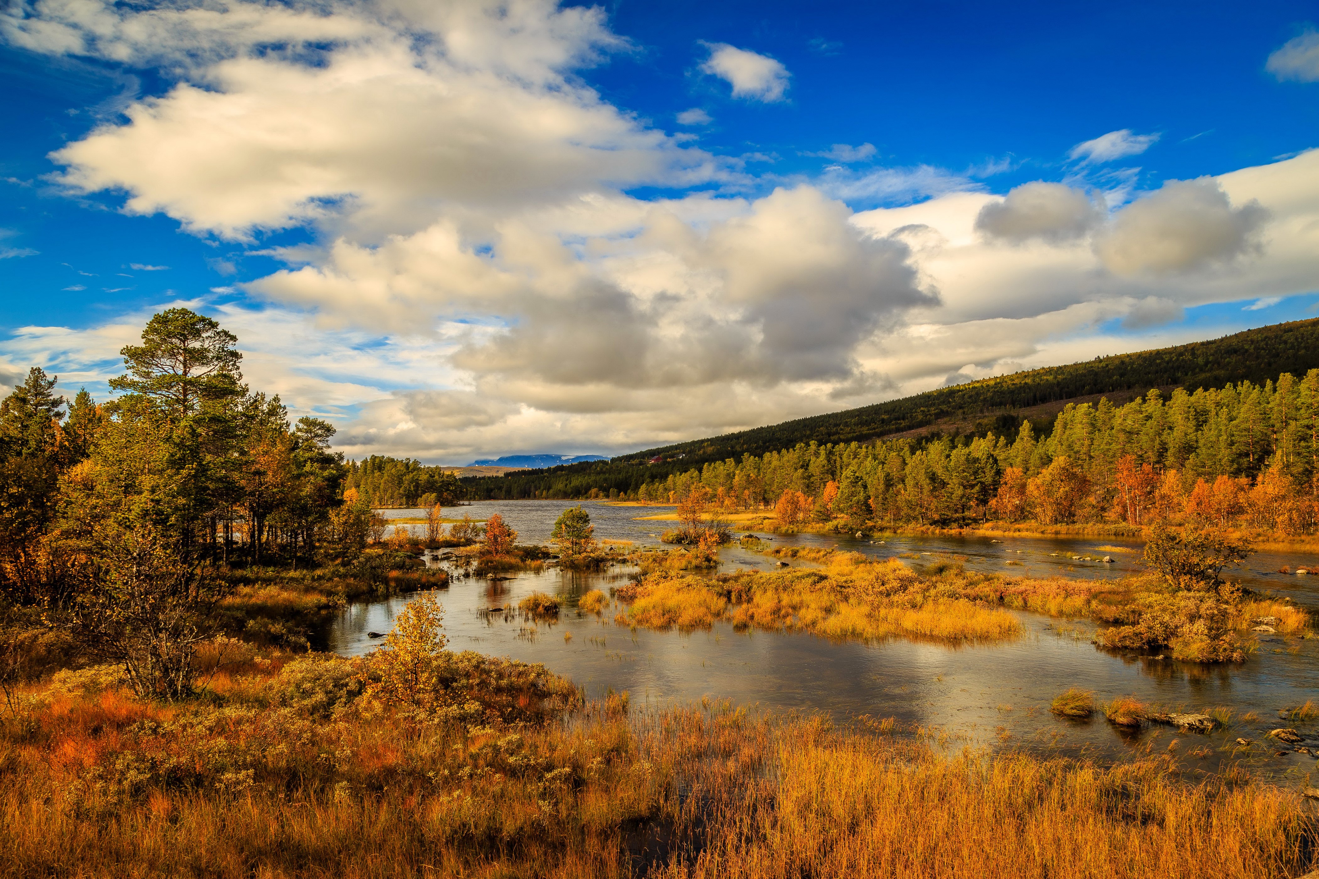 Autumn lake and forest in Norway HD Wallpaper