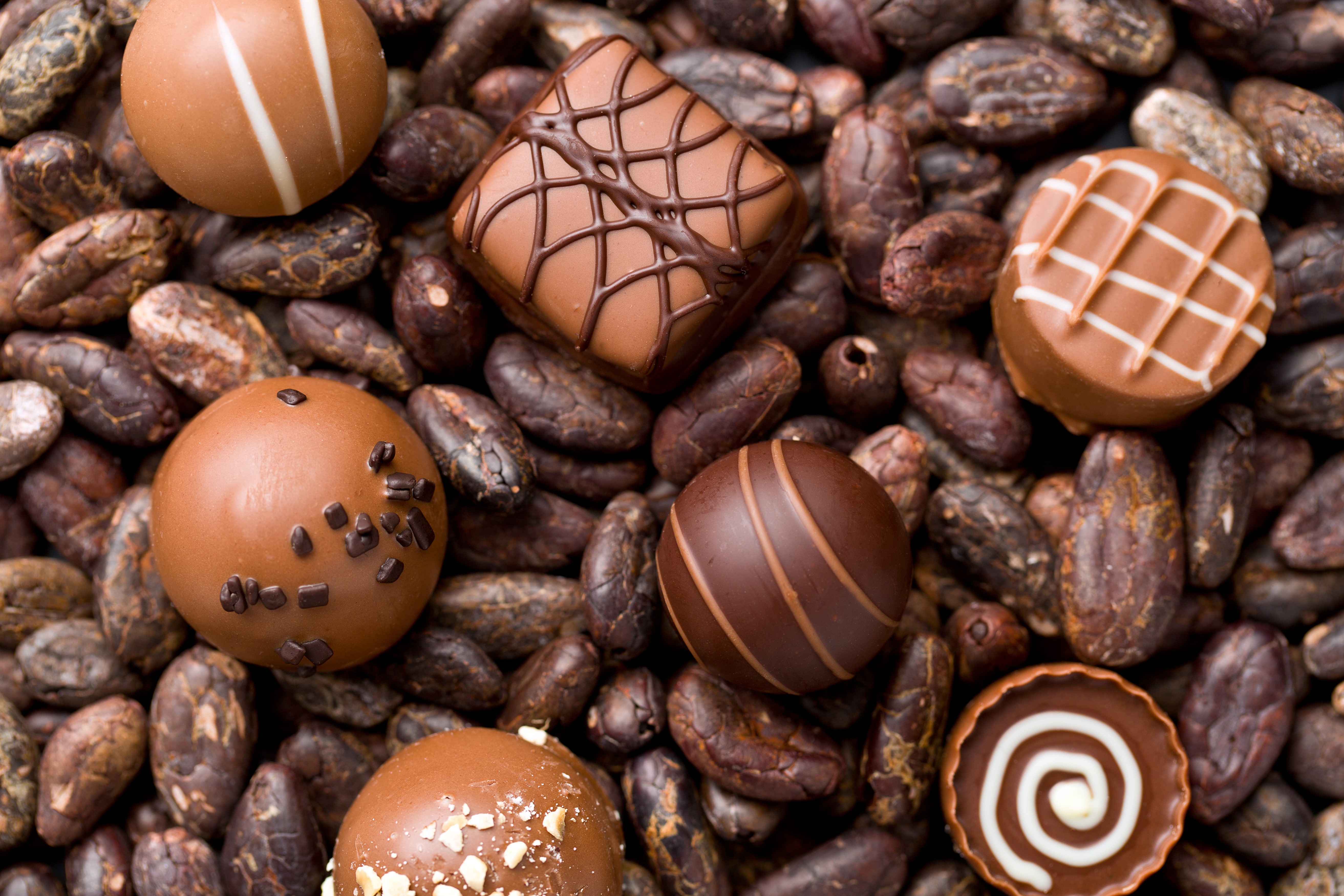 Assortment of chocolates on cocoa beans HD Wallpaper