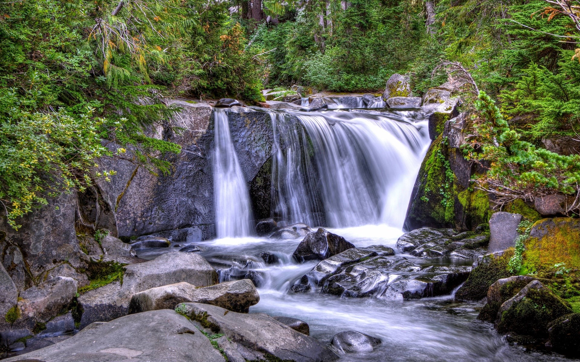 Waterfall cascading over rocks in a forest HD Wallpaper