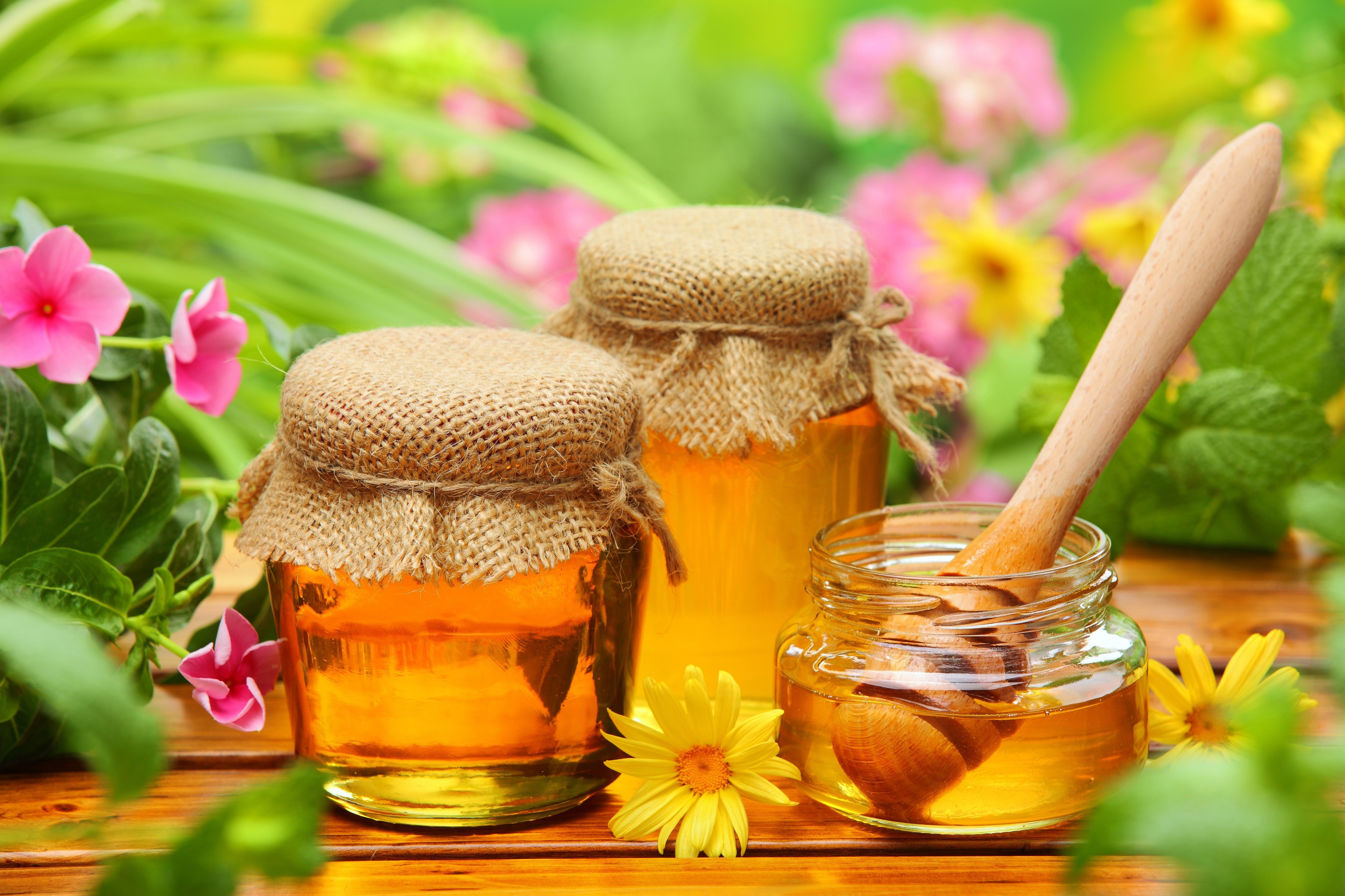 Jars of honey with flowers HD Wallpaper