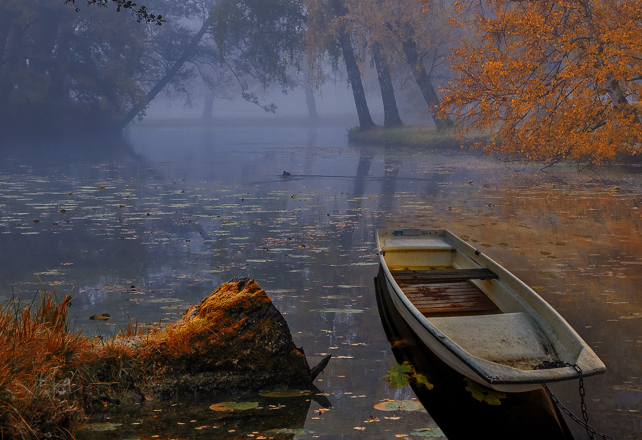 Boat on a foggy autumn lake with trees HD Wallpaper