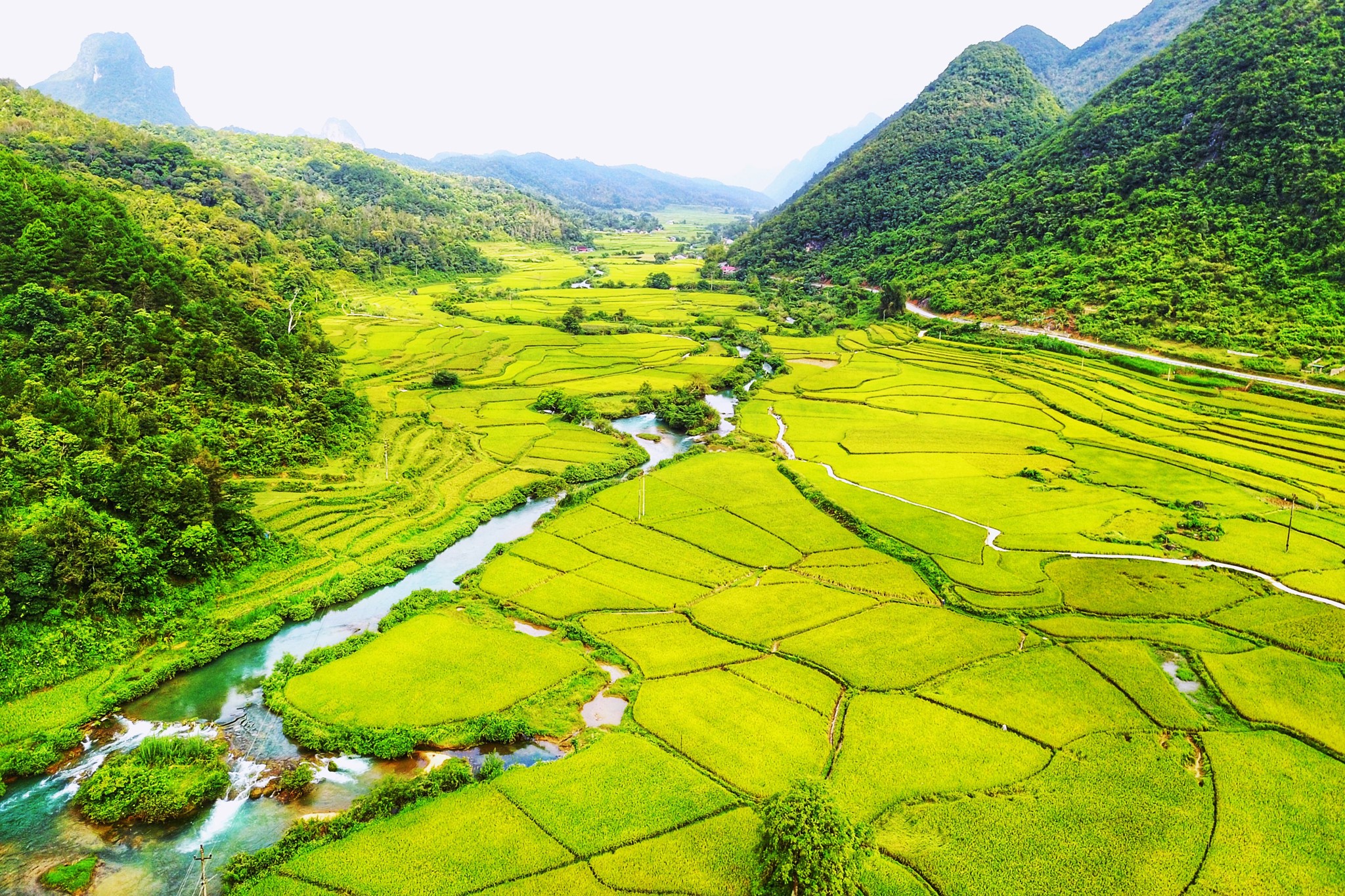Rice fields and river in Bac Can, Vietnam HD Wallpaper