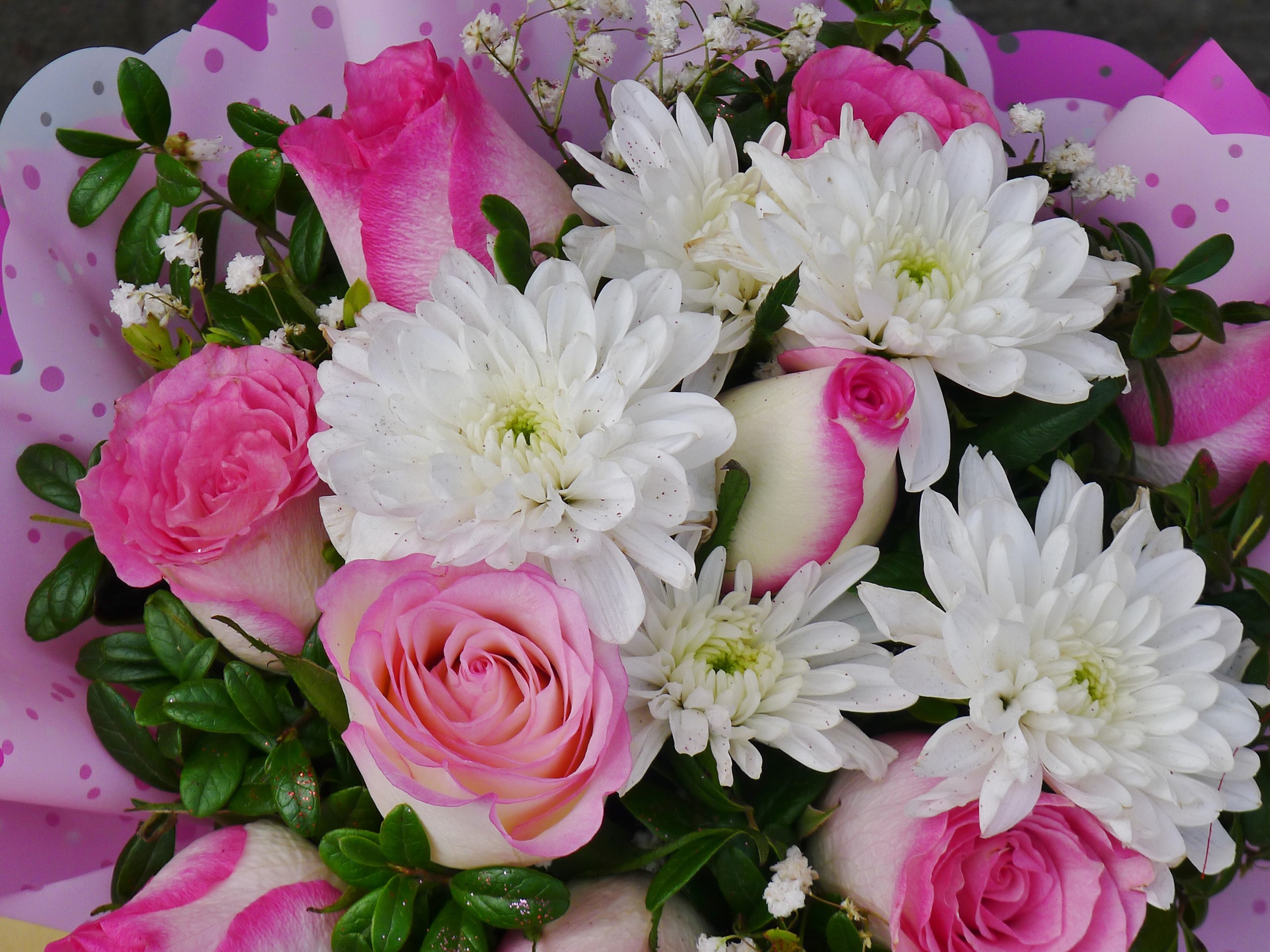 Pink Roses and White Chrysanthemums Bouquet HD Wallpaper