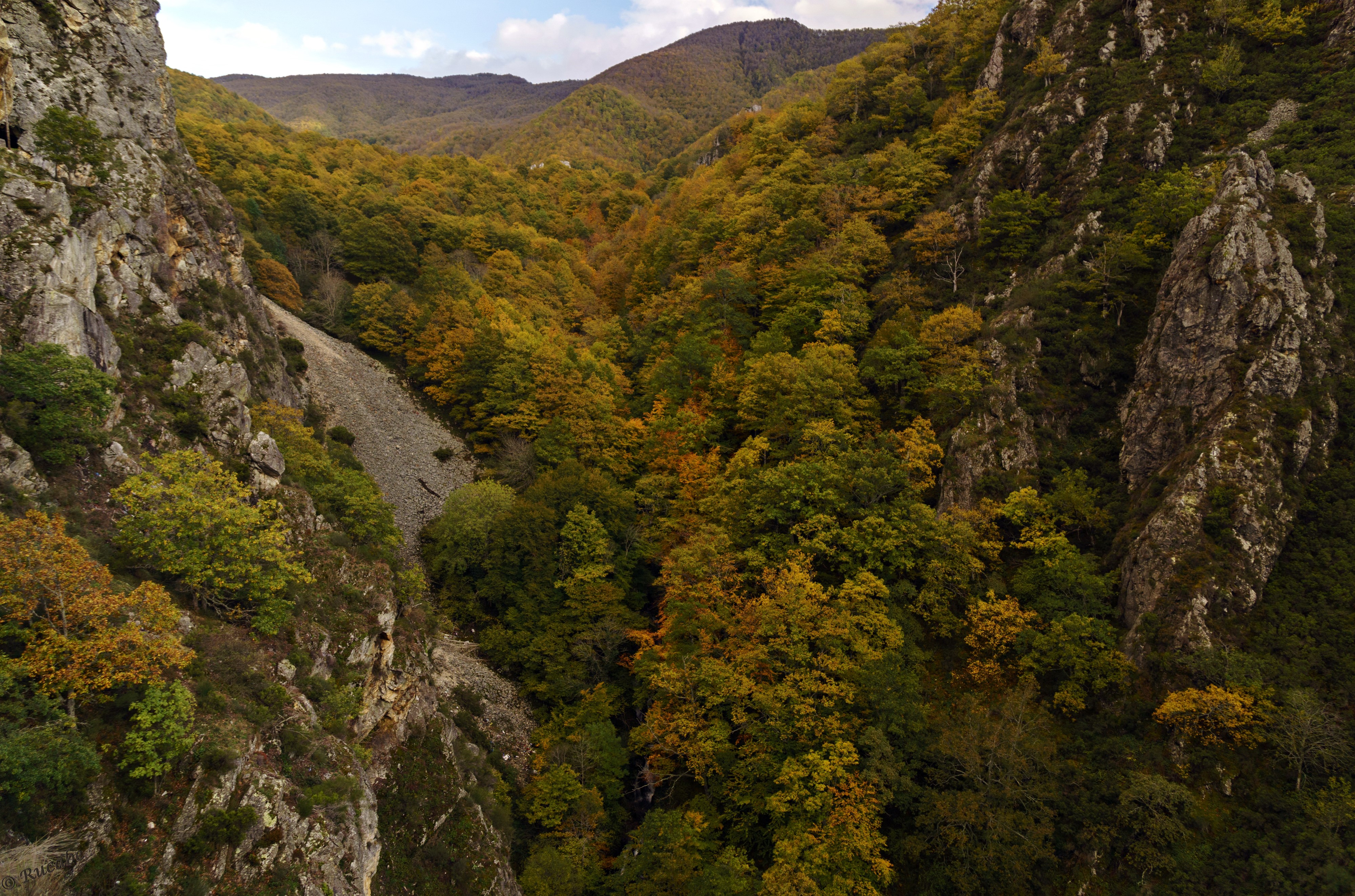 Autumn forest in a rocky mountain valley HD Wallpaper