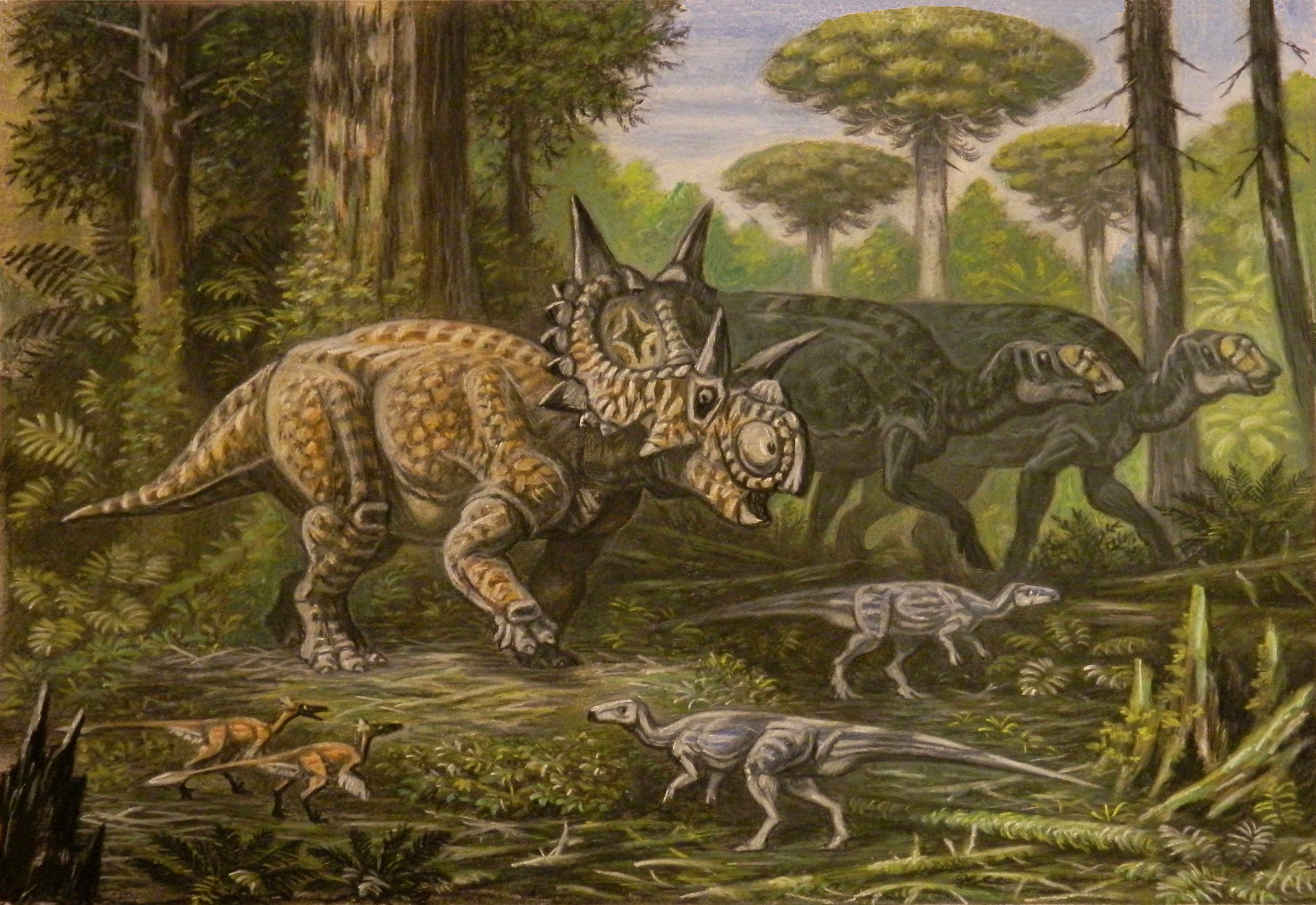 Xenoceratops and other dinosaurs in a prehistoric forest HD Wallpaper
