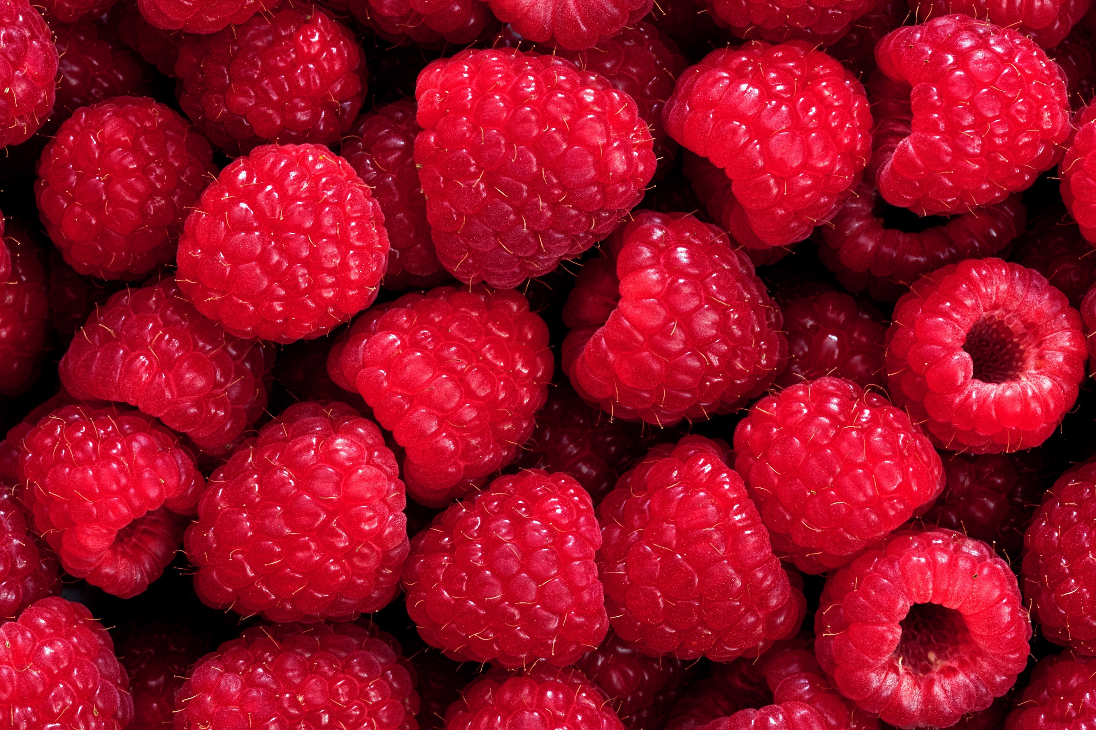Close-up of fresh red raspberries HD Wallpaper