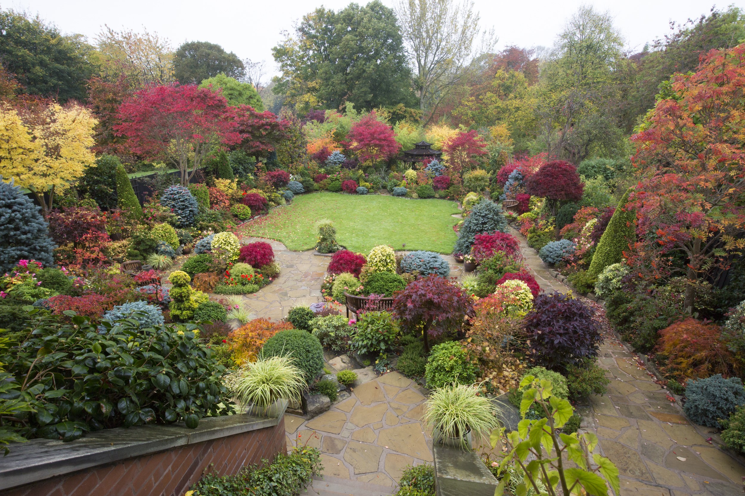 Walsall Garden in England during Autumn HD Wallpaper