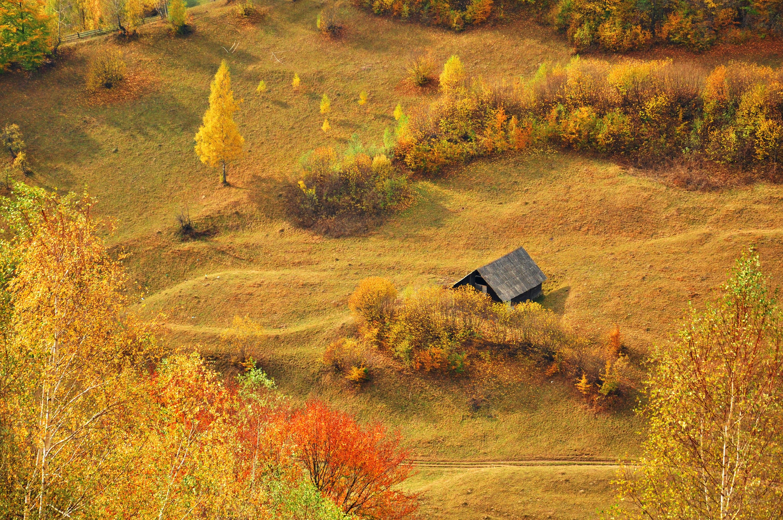 Autumn landscape with a small wooden cabin HD Wallpaper