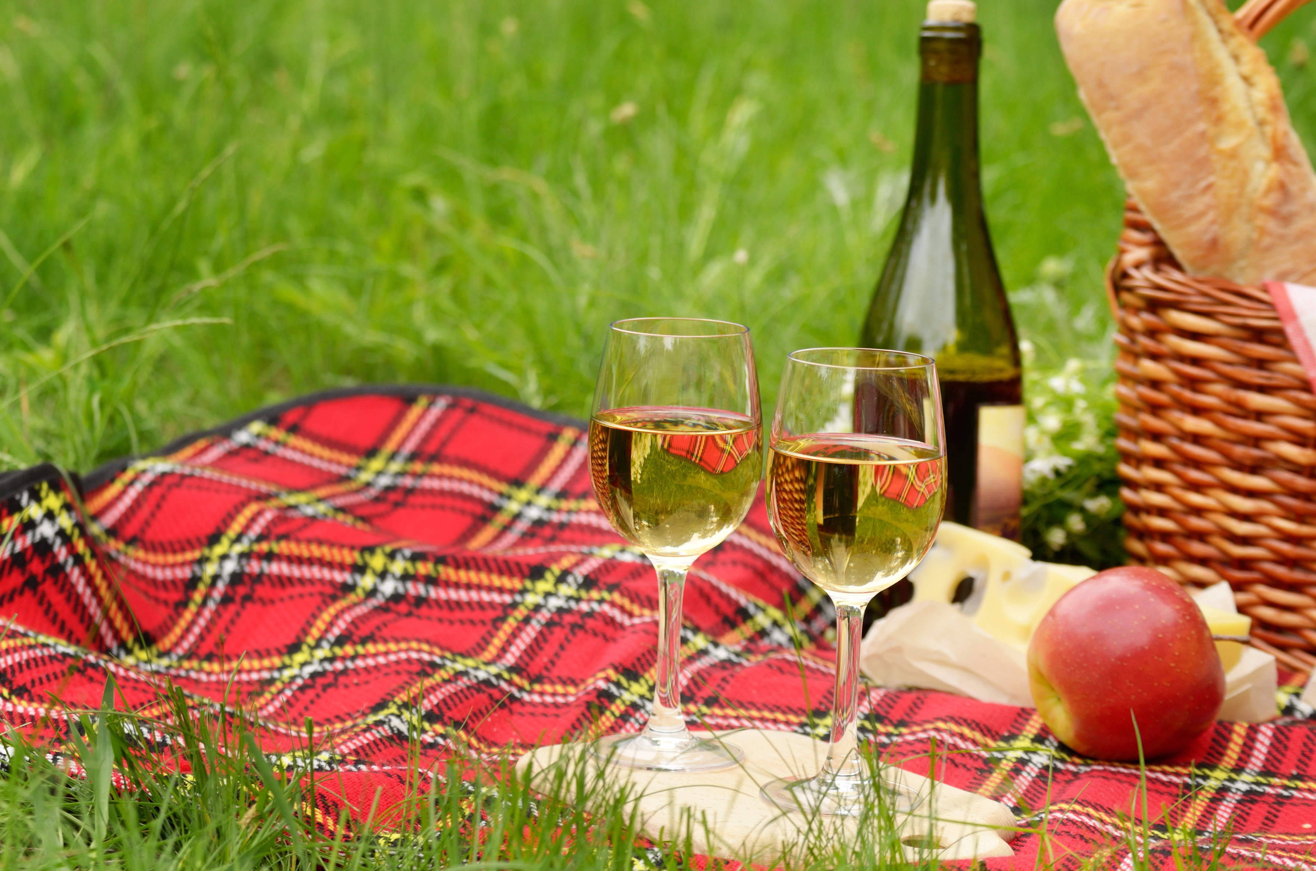 Picnic with Wine, Cheese, Bread, and Apple HD Wallpaper