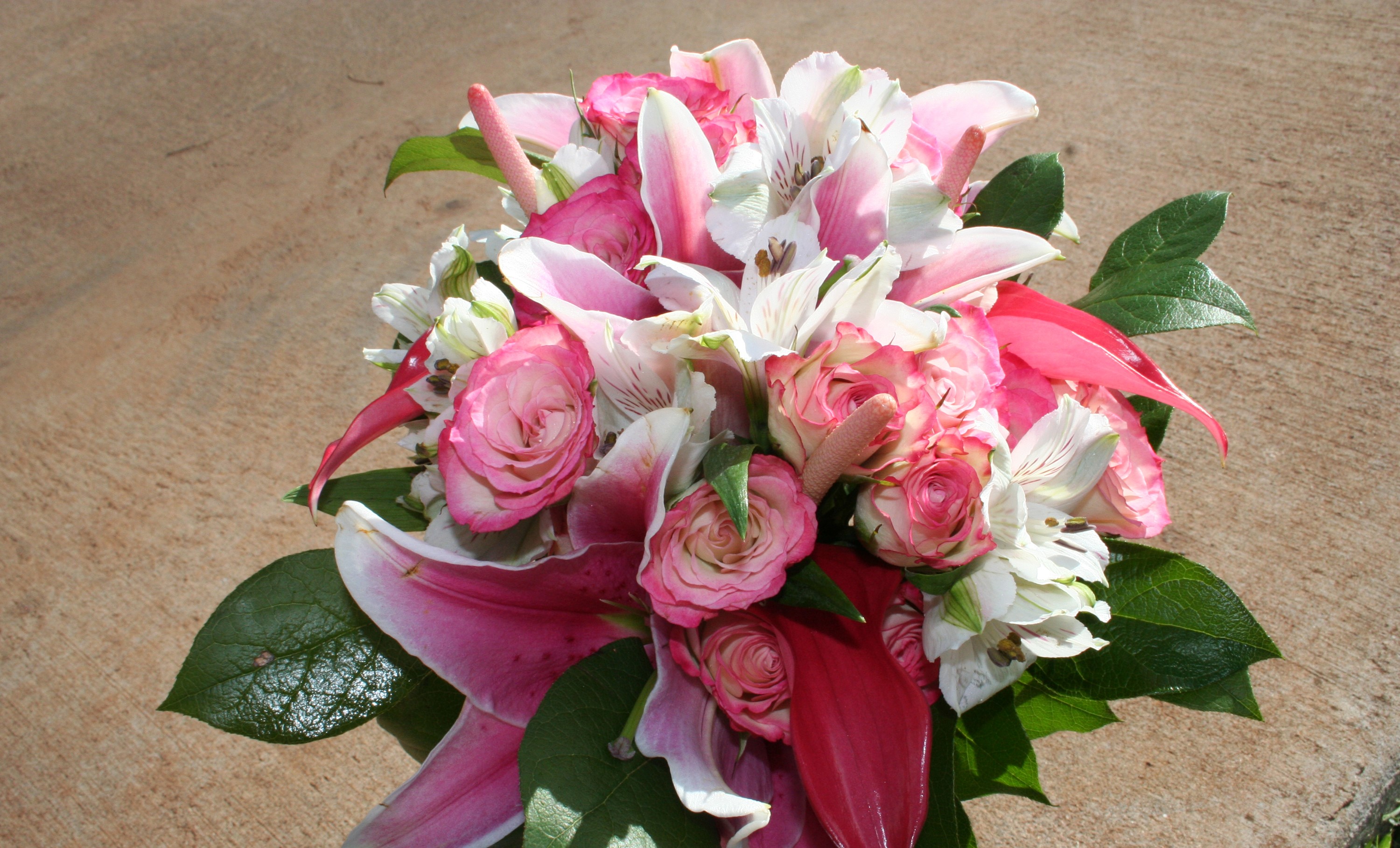 Pink and white flower bouquet with green leaves HD Wallpaper