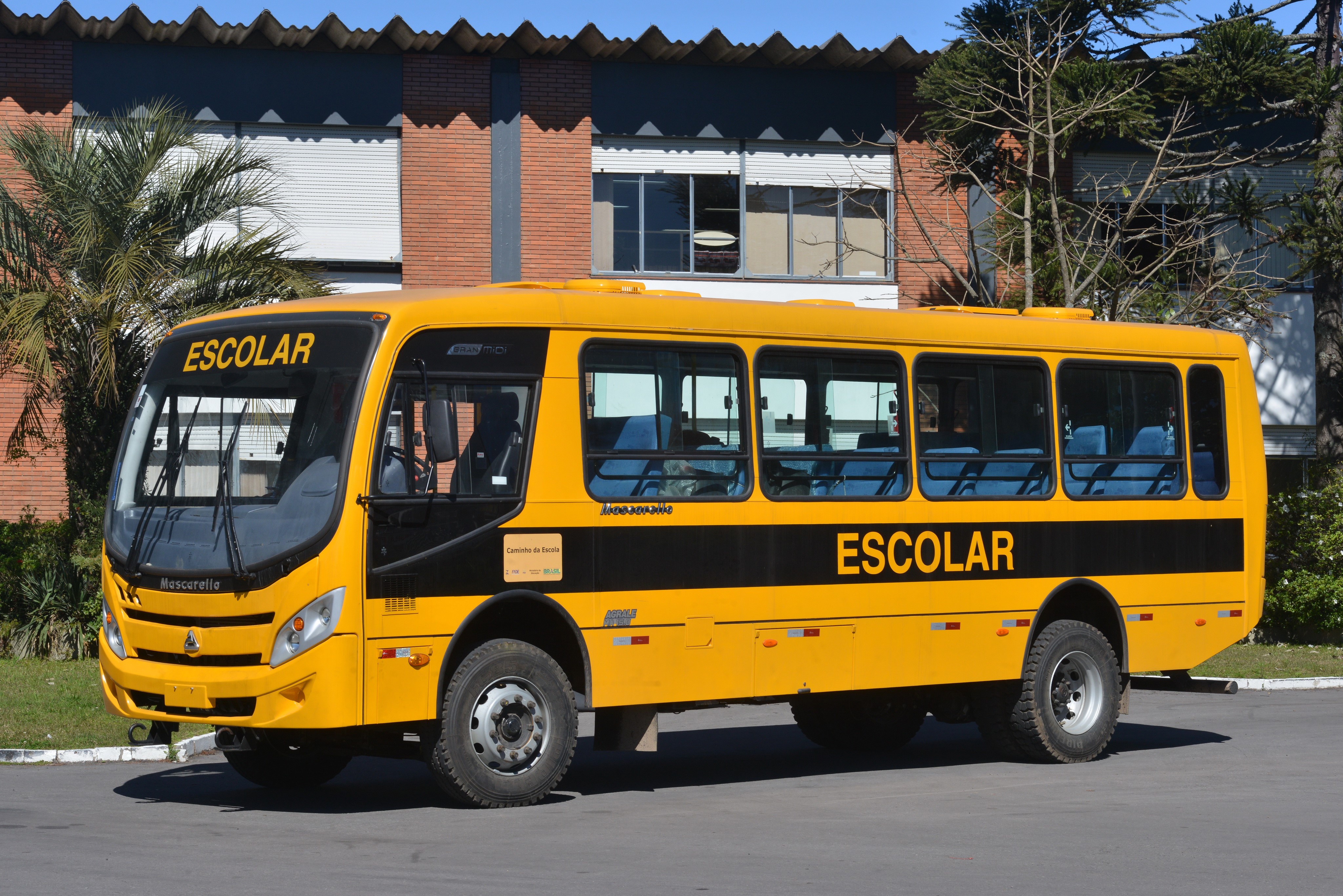 Yellow Mascarello Gran Midi Escolar Bus HD Wallpaper