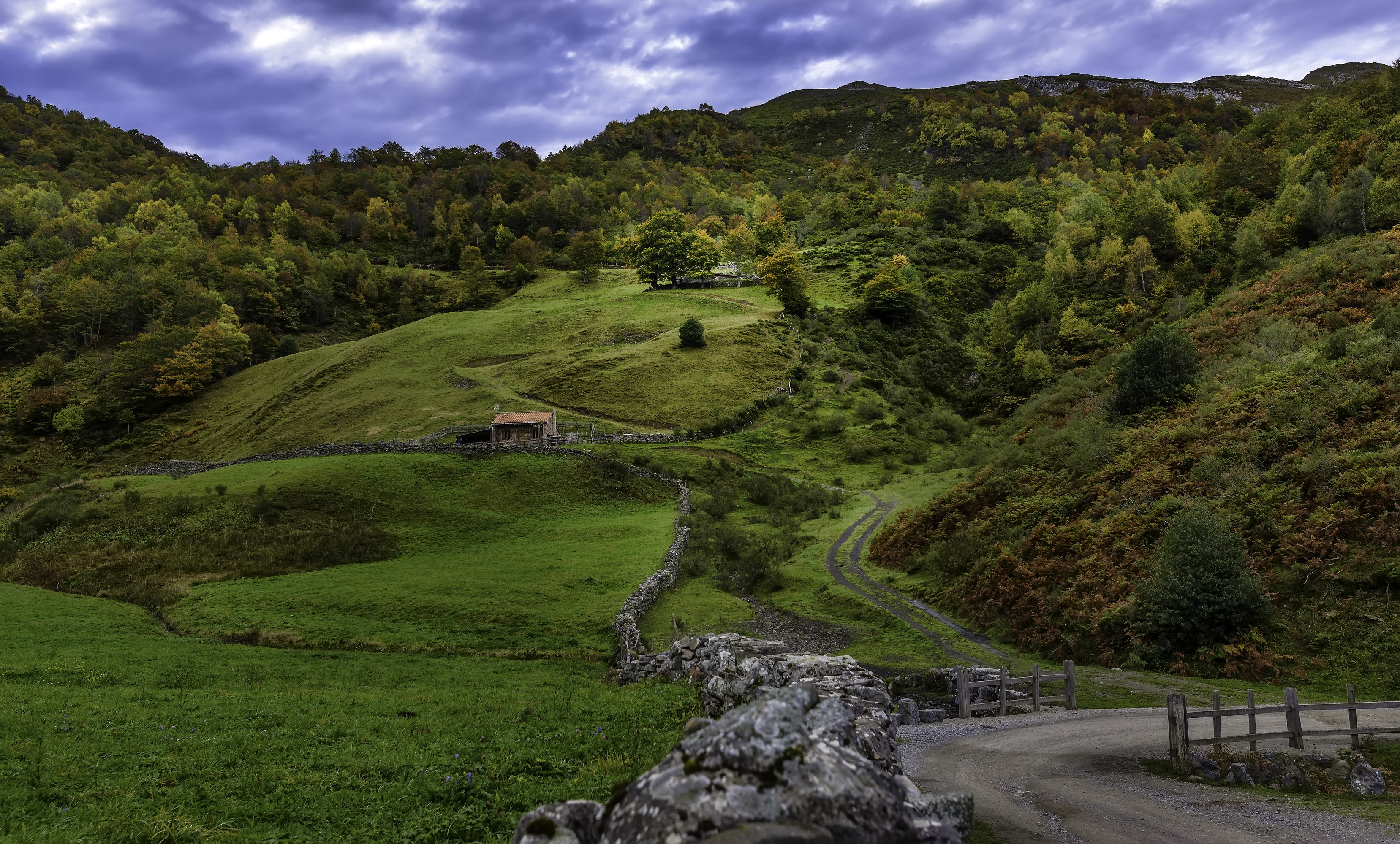 Autumn forest and grasslands in Leon, Spain HD Wallpaper