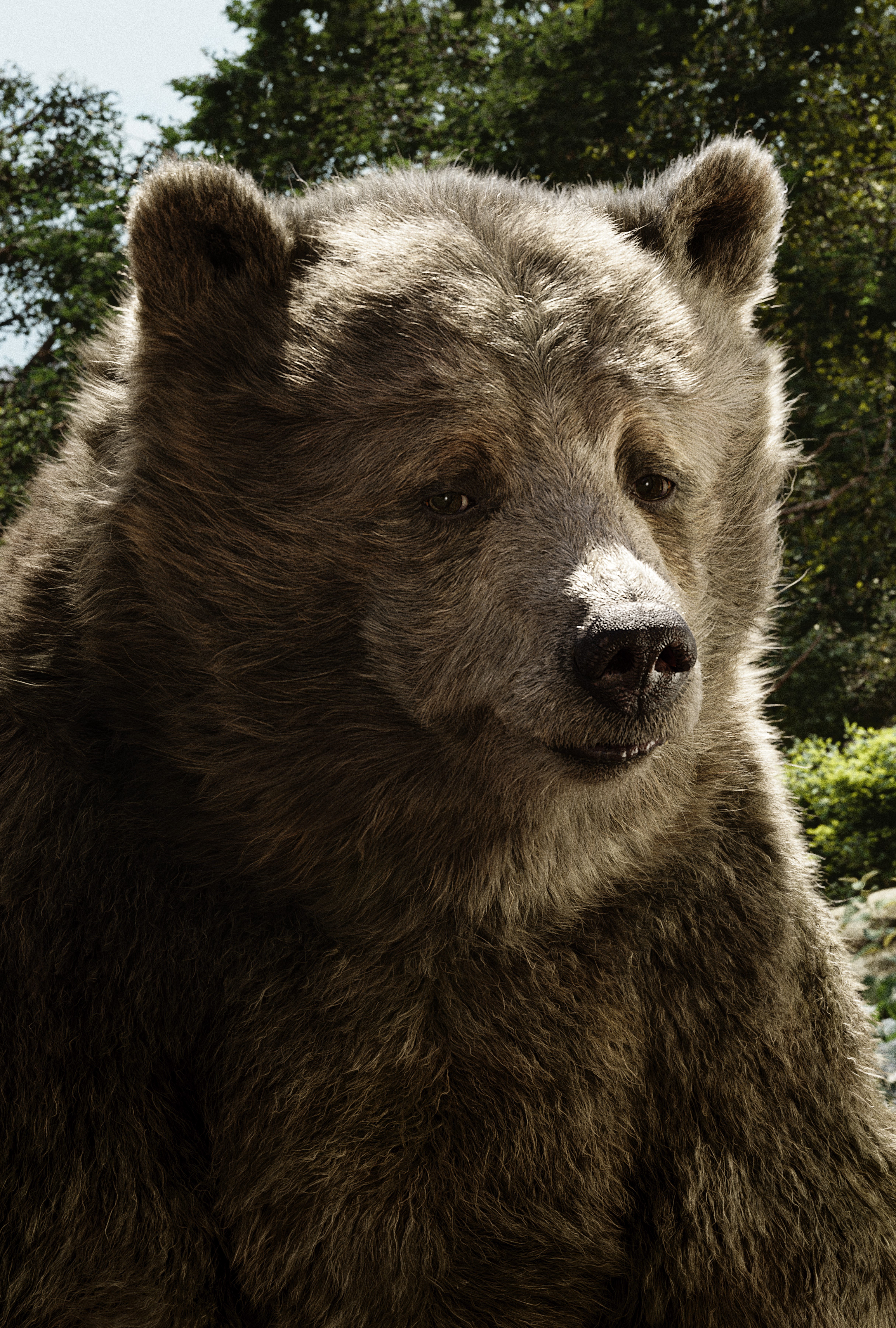 Balu the Bear from The Jungle Book 2016 HD Phone Wallpaper