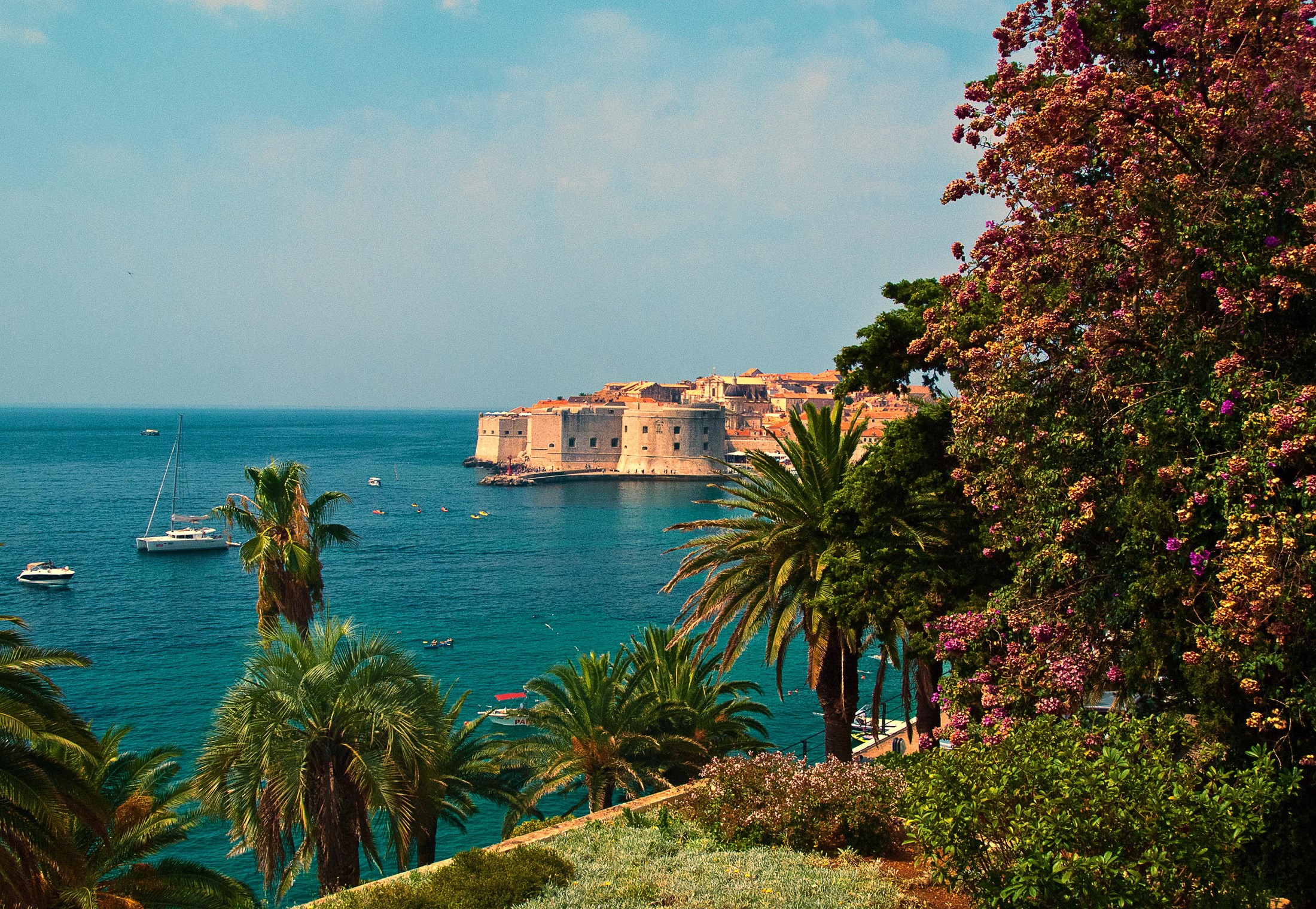 Dubrovnik, Croatia coast with fortress and palm trees HD Wallpaper