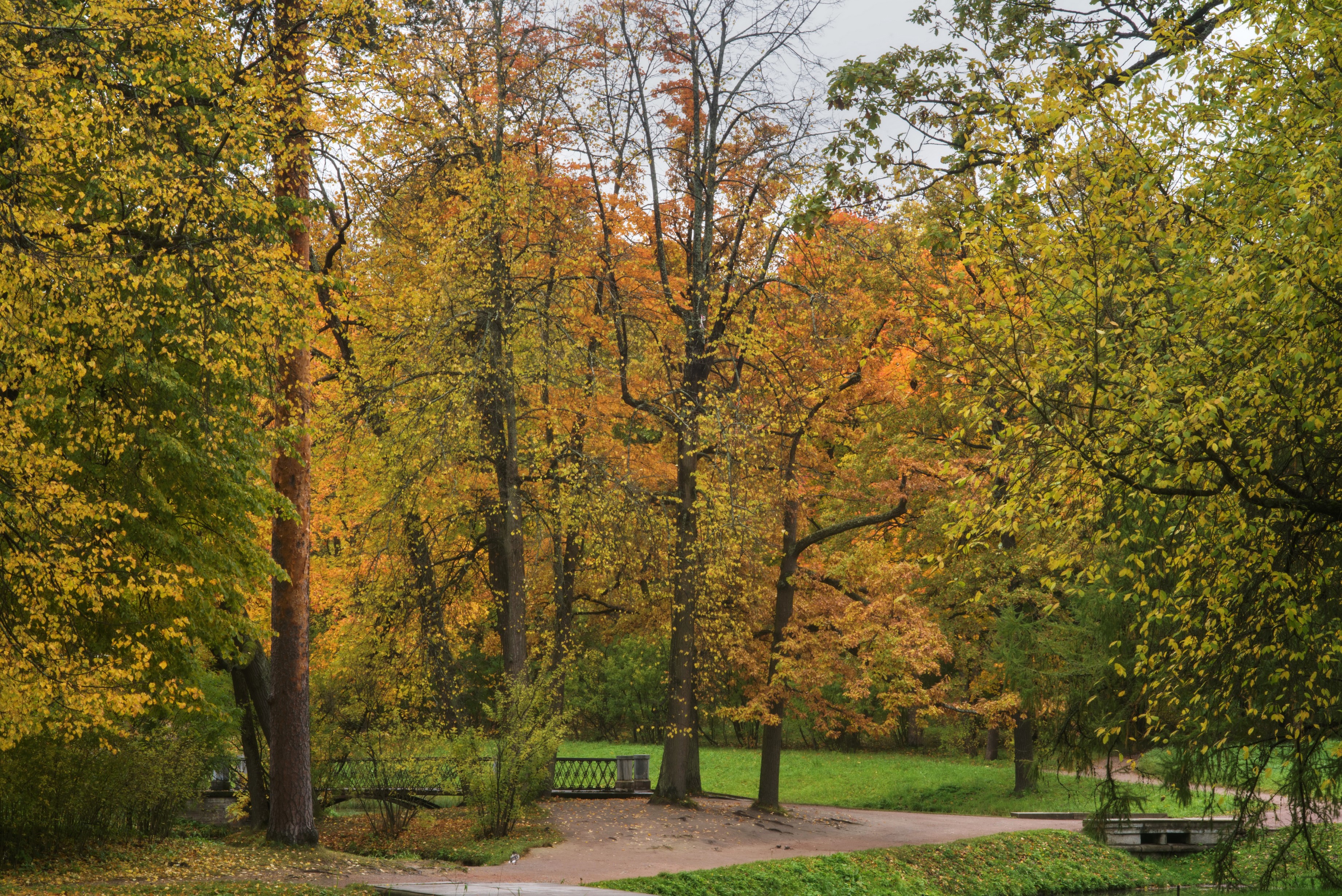 Autumn park in Pushkin, Russia HD Wallpaper