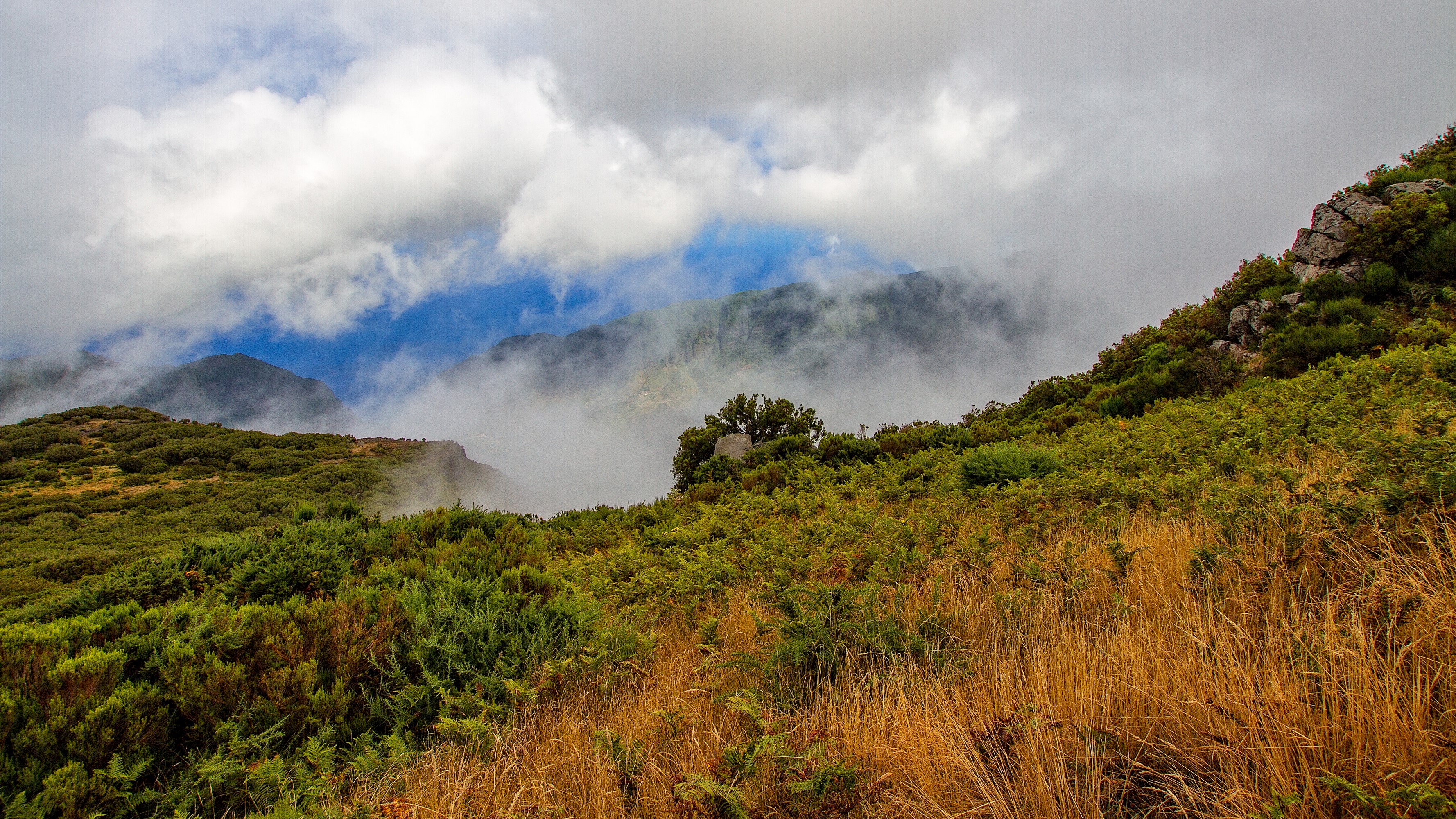Foggy Mountainside with Greenery and Clouds in Madeira HD Wallpaper