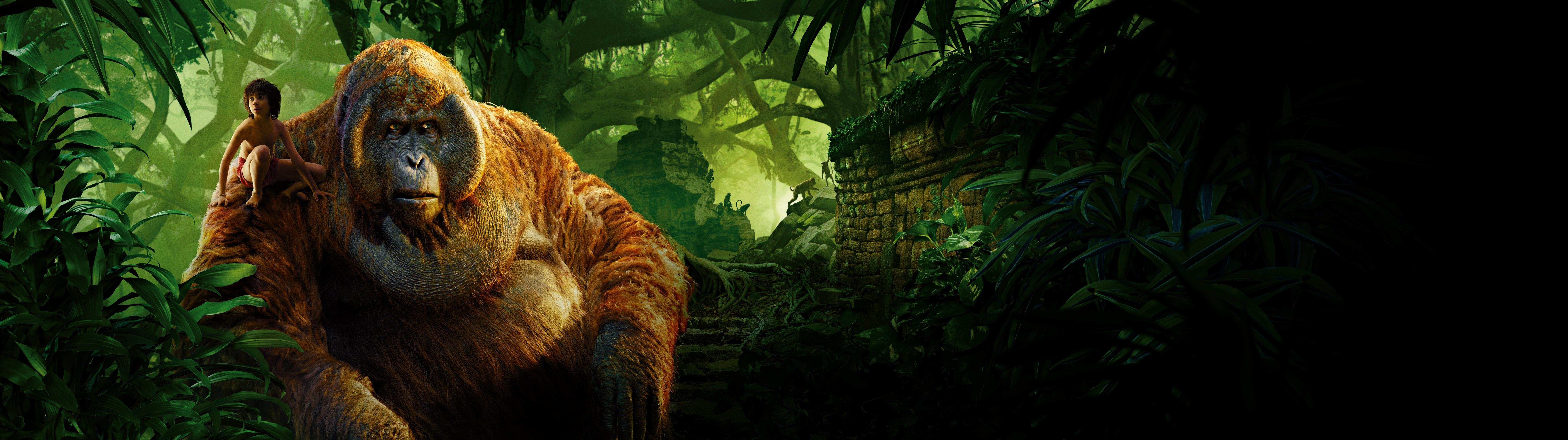King Louie and Mowgli from The Jungle Book 2016 HD Wallpaper