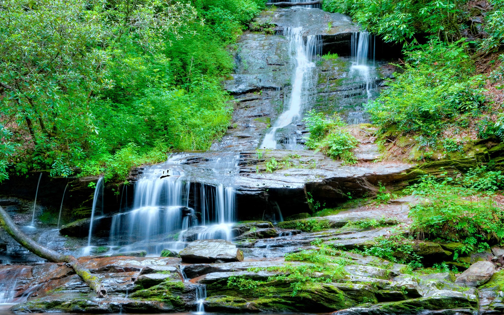 Waterfall cascading over mossy rocks in a forest HD Wallpaper