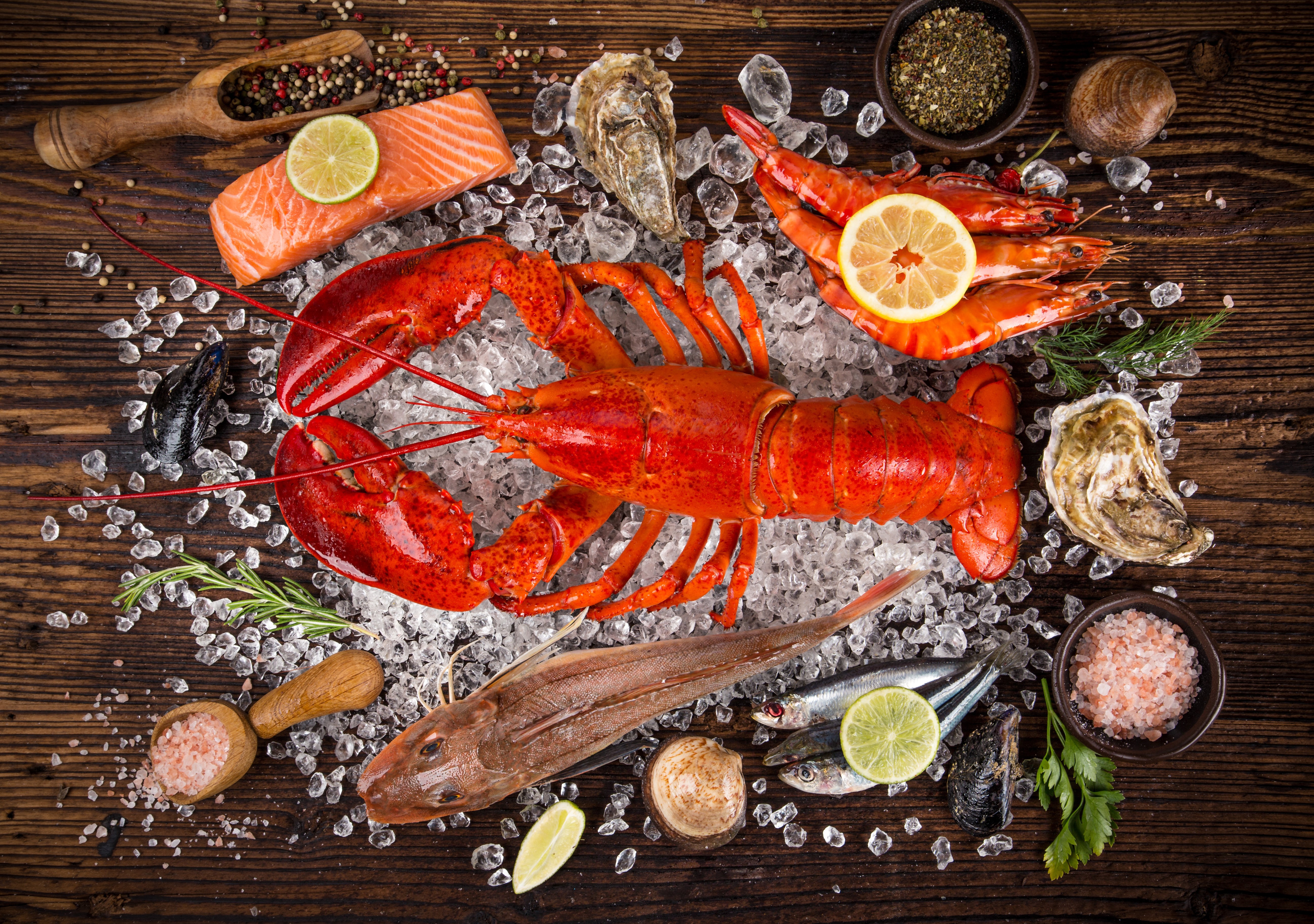Seafood Platter with Lobster, Shrimp, Salmon, Fish, Oysters, and Spices HD Wallpaper
