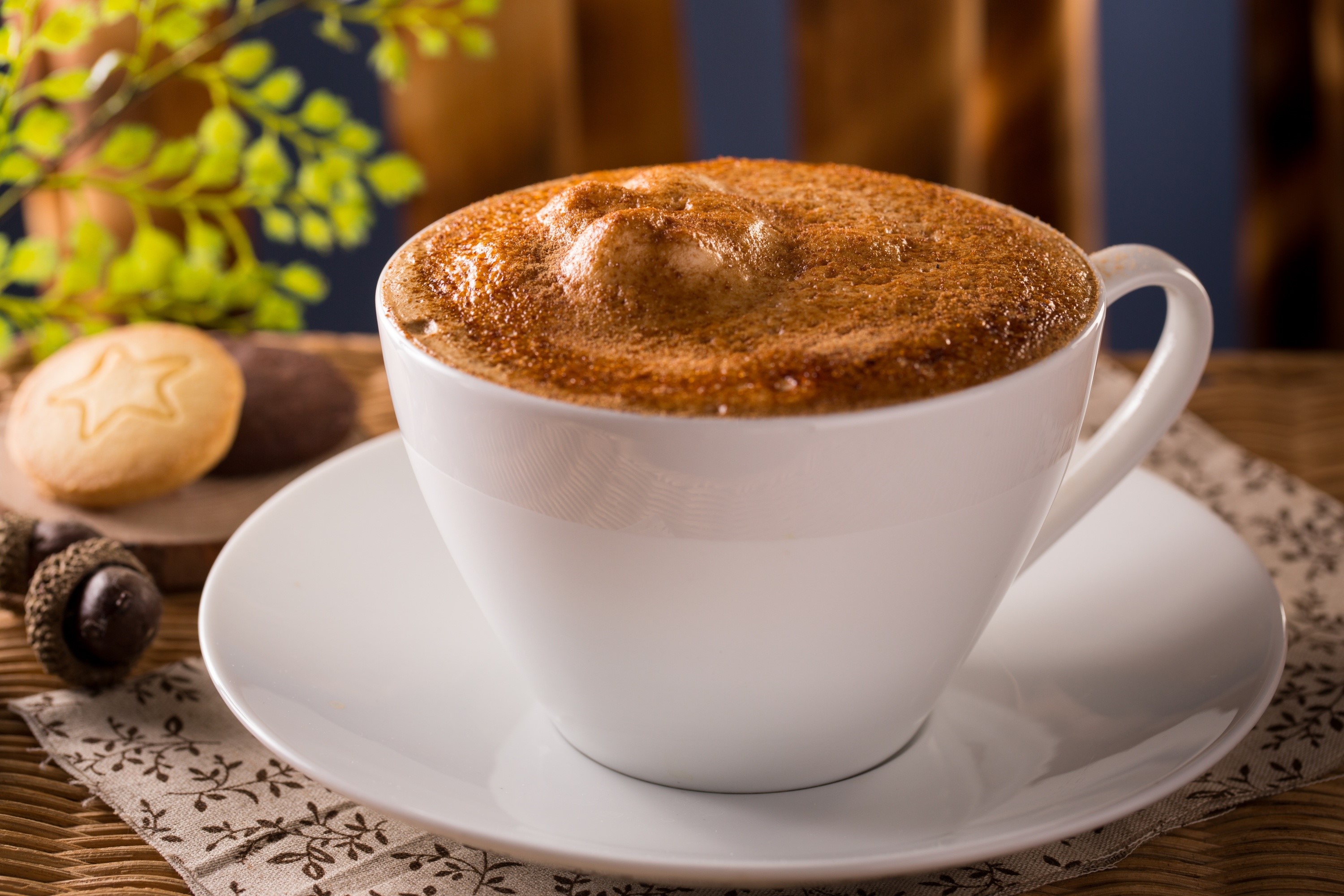 Cappuccino in a white cup with cookies and acorns HD Wallpaper