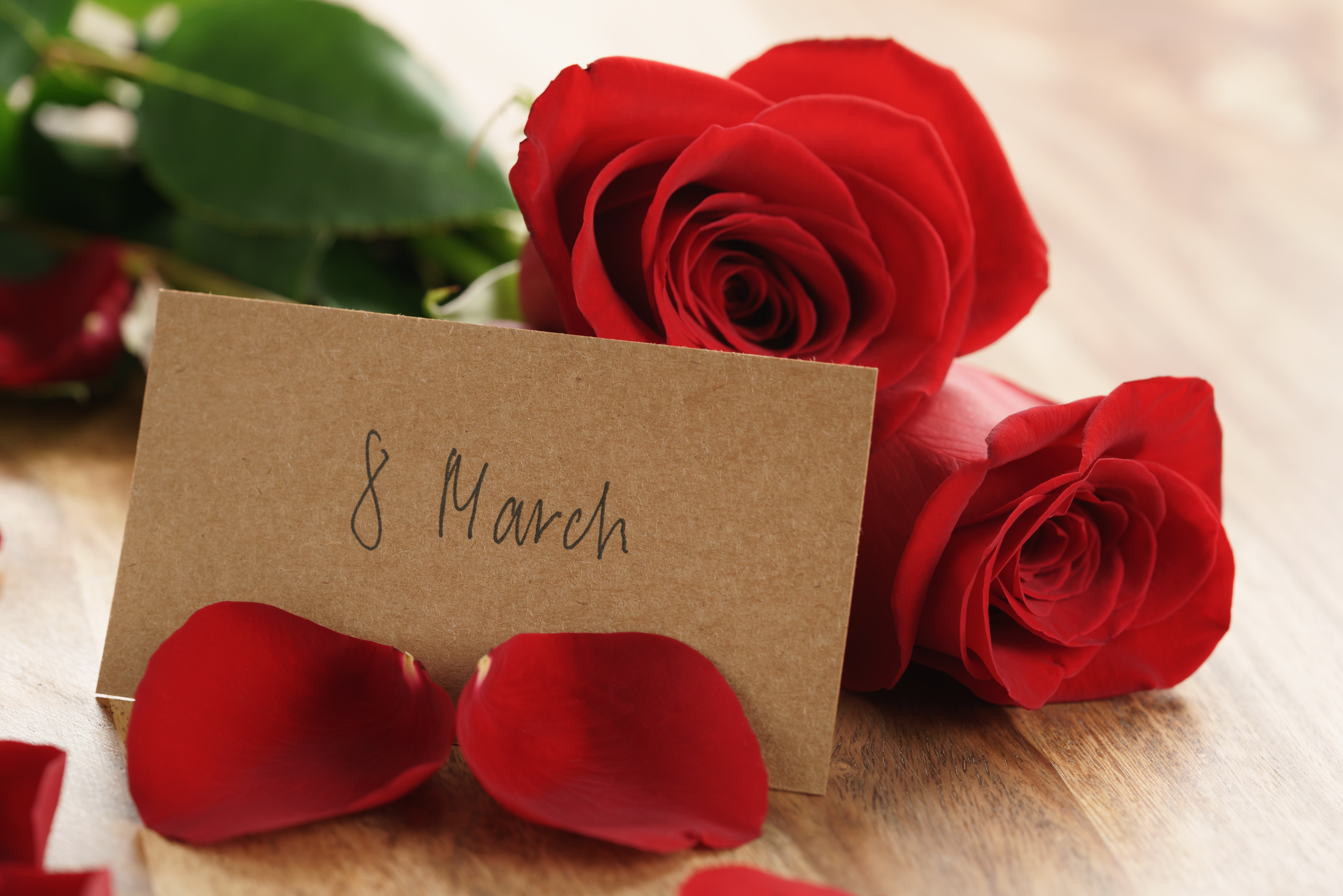 Red Roses and 8 March Card HD Wallpaper