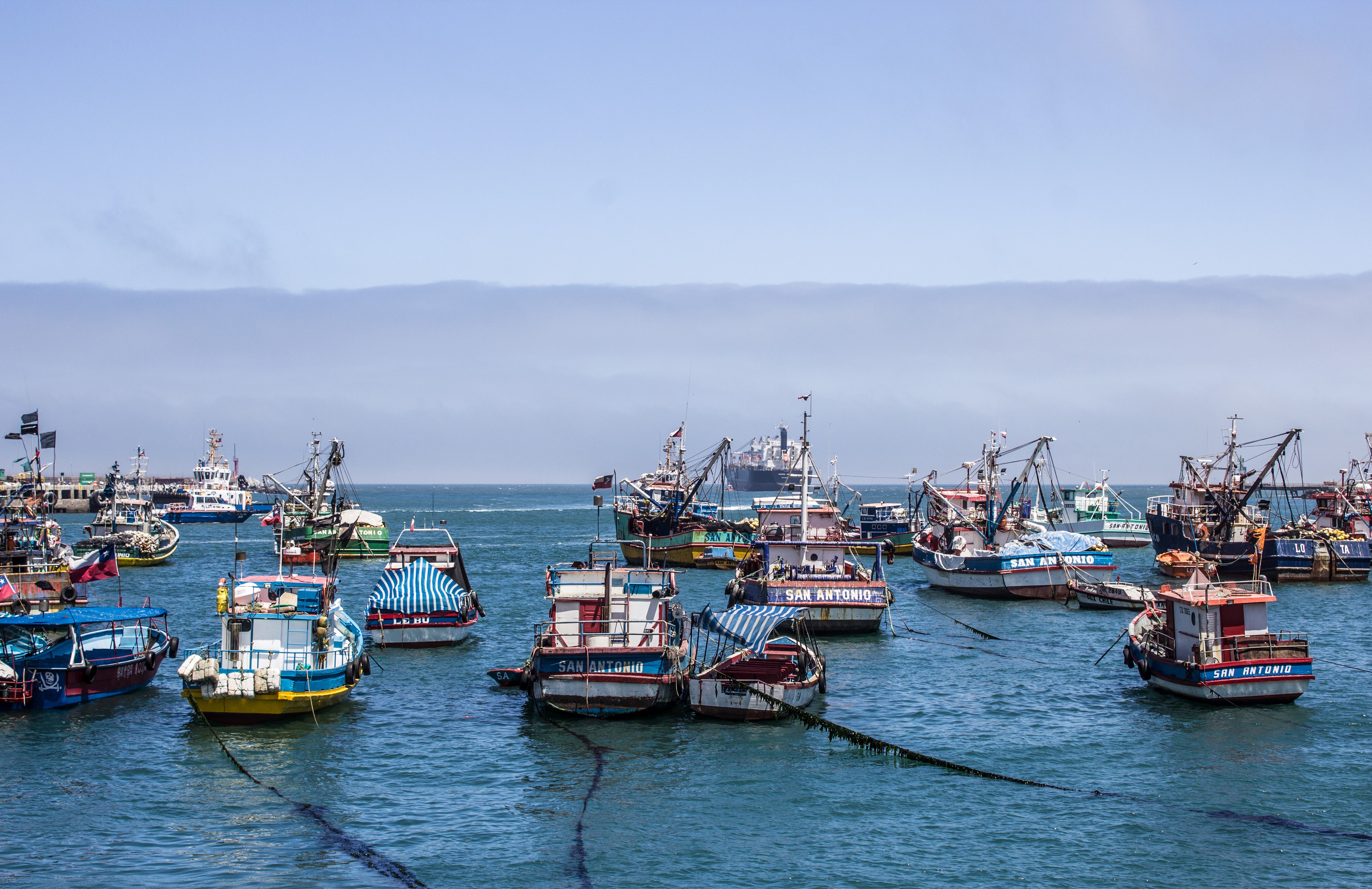 Fishing boats in San Antonio, Chile HD Wallpaper