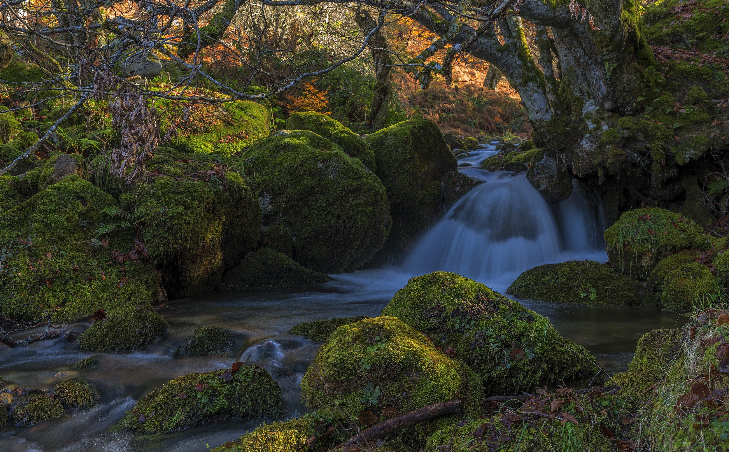 Mossy rocks and waterfall in a forest HD Wallpaper