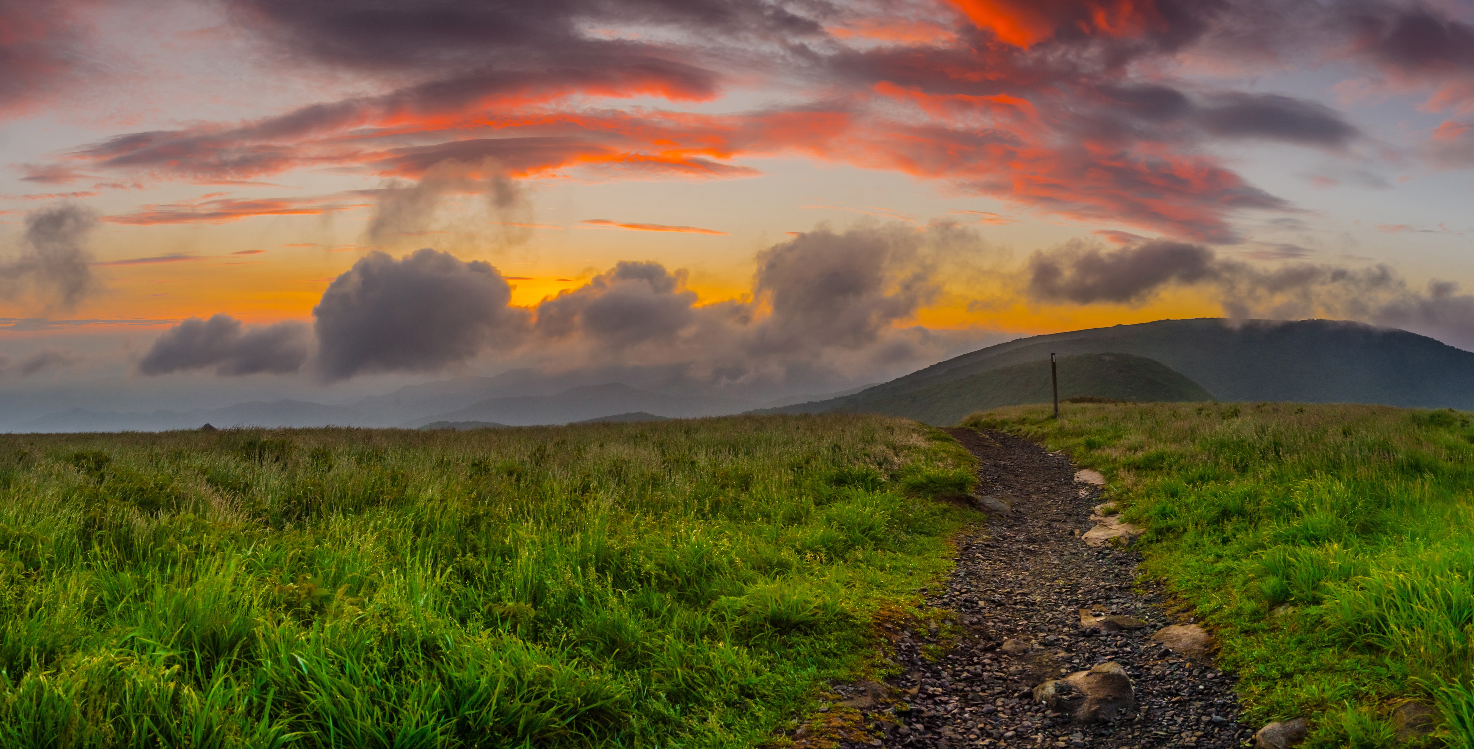 Sunrise over grassy hills with a trail in North Carolina HD Wallpaper